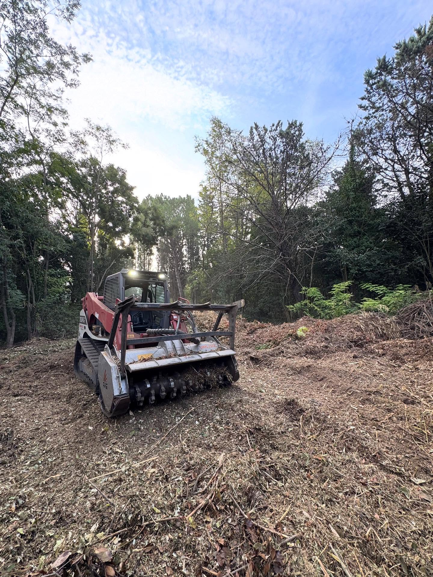 Travaux de broyage ou de débroussaillement !!! N’hésitez pas à nous contacter 06.47.86.65.68
#takeuchitl12 #takeuchi @fae.machinery @nicolaspastrepro #débroussaillage #treework #fae #suddelafrance