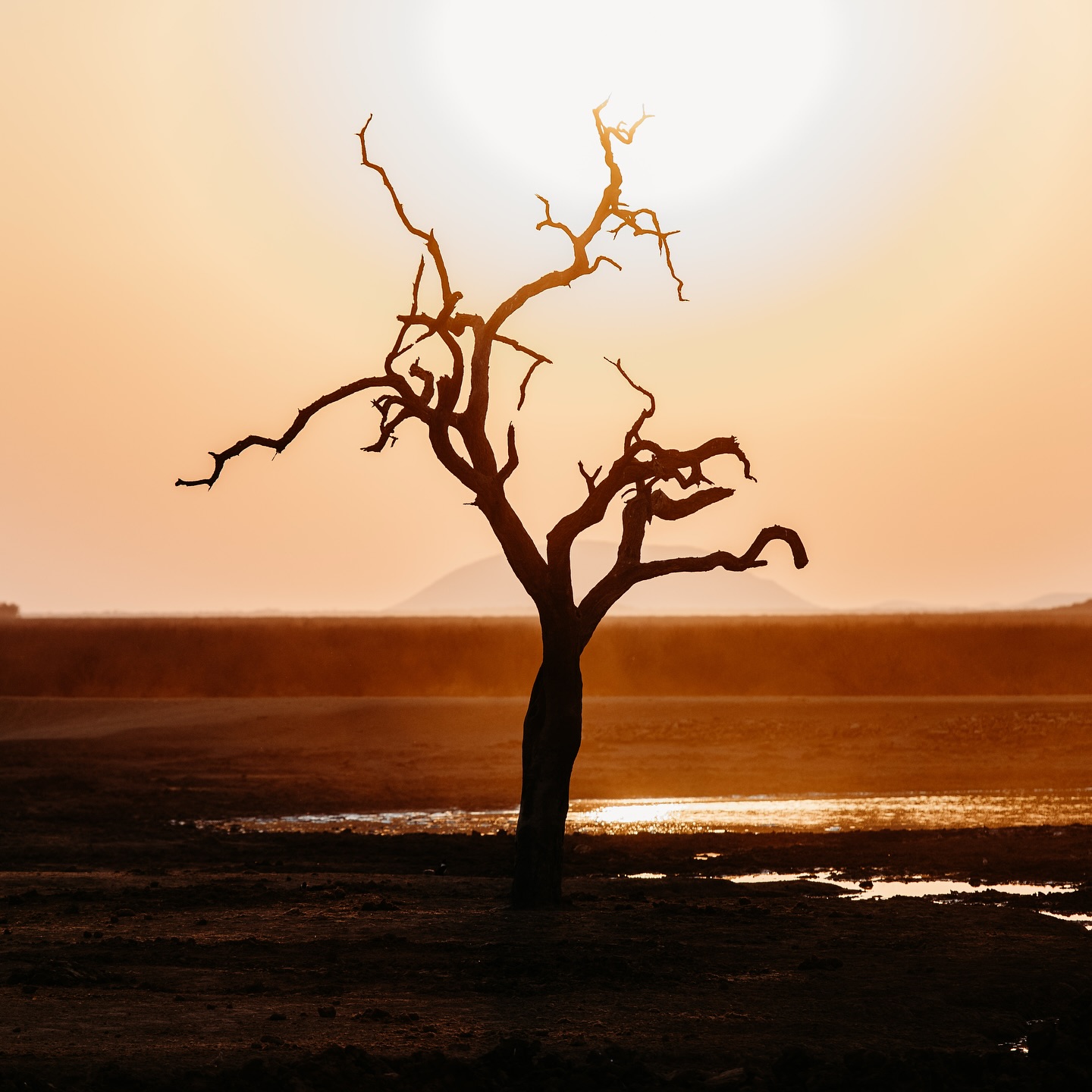 ๐
Since moving to Africa, weโve witnessed some of the most breathtaking sunrises and sunsets. The sky feels different here, itโs brighter, bolder, and more alive. Iโve never seen orange hues this vivid until now, and every evening feels like a new painting. โจ
#AfricaSunsets #AfricanSkies #SunriseAndSunset #LifeInAfrica #Grateful