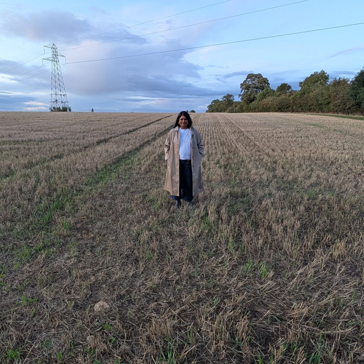 Living a simple life #lincoln ๐