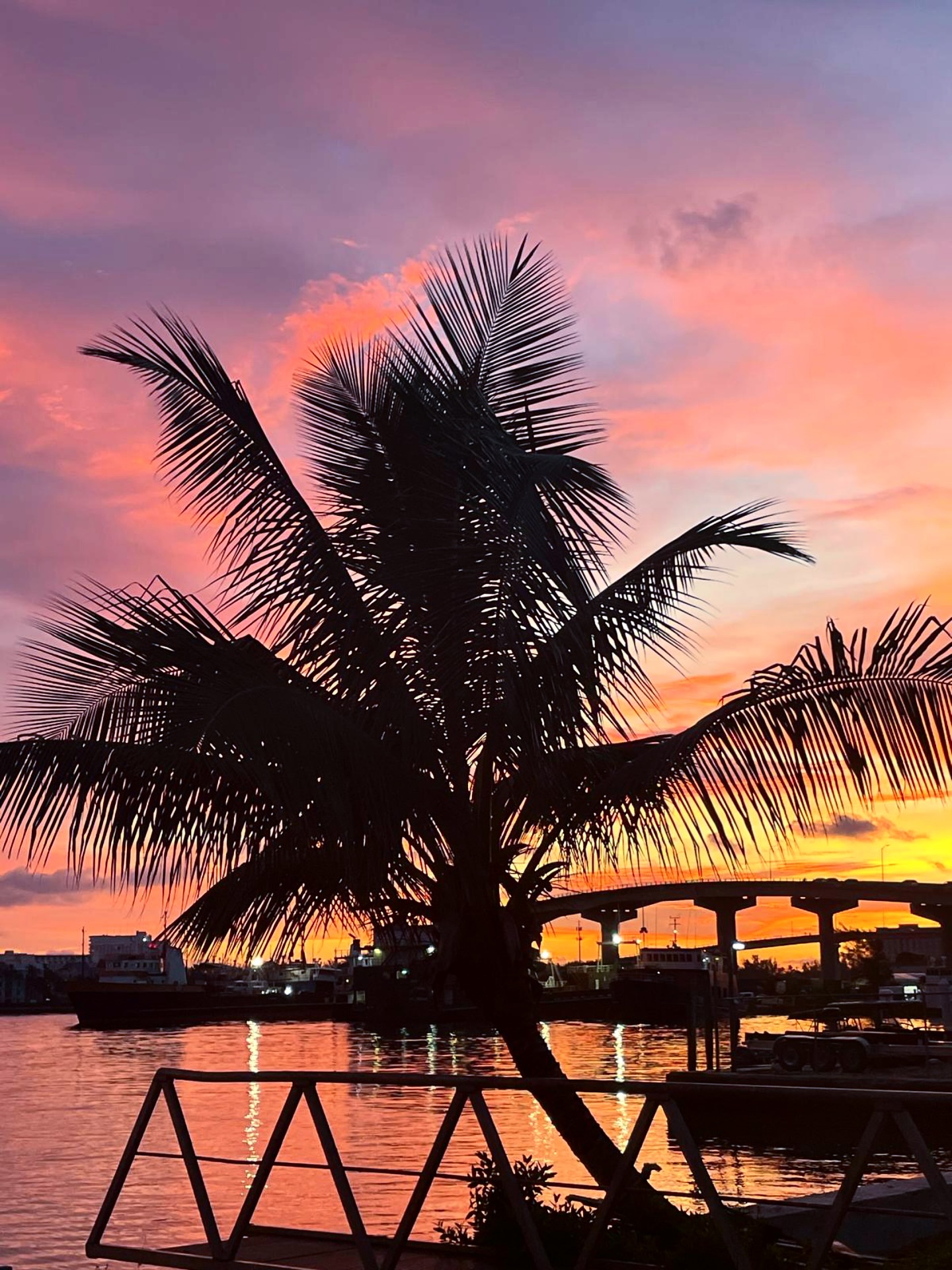 Your perfect sunset awaits at Baystreet Marina. Come for the views, stay for the vibe. 🌅✨