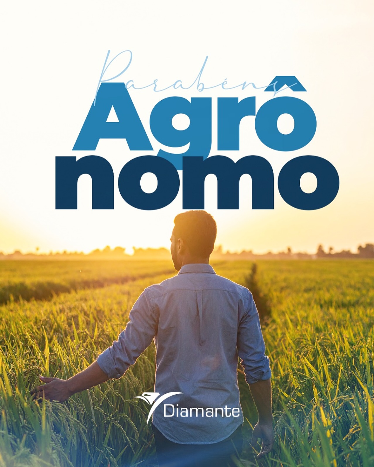 Hoje celebramos aqueles que fazem a diferença no campo e garantem alimento na nossa mesa.
Parabéns, Agrônomos, pelo conhecimento, dedicação e amor à terra! 👏💚
#DiaDoAgrônomo #GratidãoAoCampo #Diamante