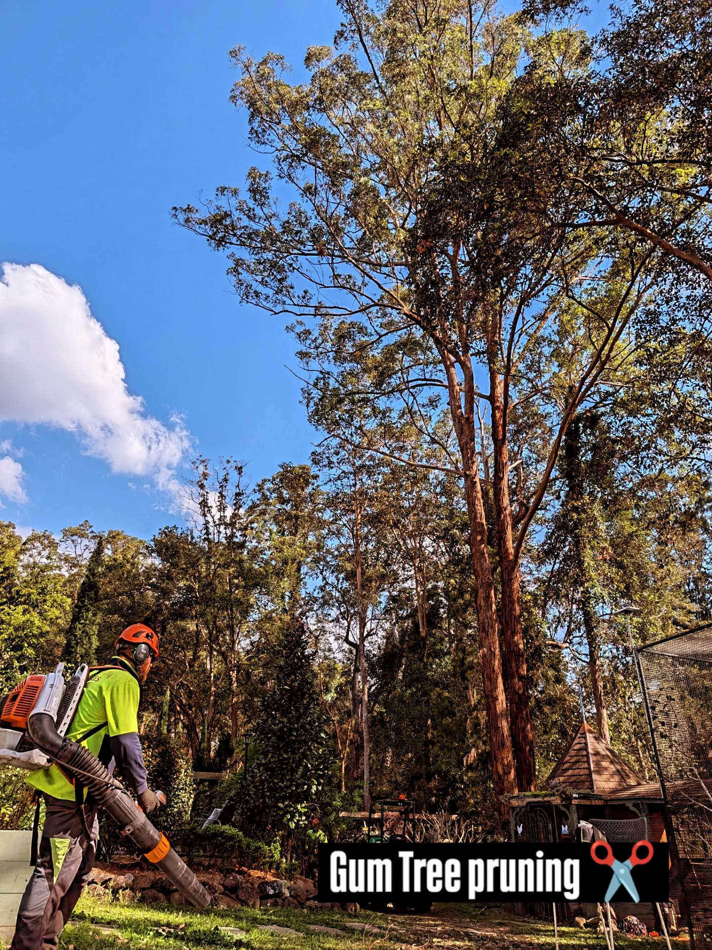 Here is a less social media/advertising friendly job because it's not as sexy as a tree removal video 😂
We spent three days reducing lateral branches, pruning deadwood and doing some well overdue maintenance on this backyard in Bonogin. ✂️🍃
If you live on acreage, it is very important to have an arborist inspect your trees every 2-3 years or after a major weather event. 🤓