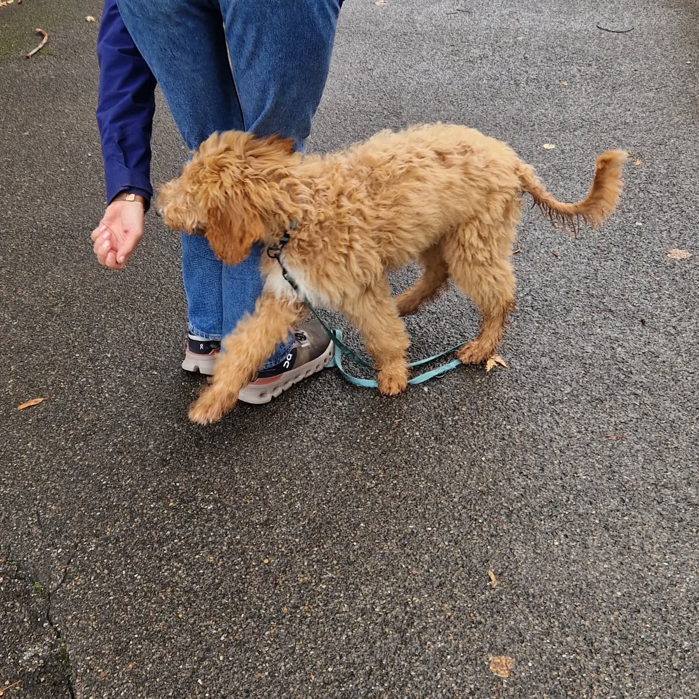 Training mit Asenta 😍🐕
#assistenzhundeschweiz #assistenzhundeverein #assistancedog #assistenzhund #assistenzhundeausbildung #assistenzhundeteam #assistenzhundetraining #pawsandyou #vereinfürhilfshunde #gemeinnützig #vereinpawsandyou