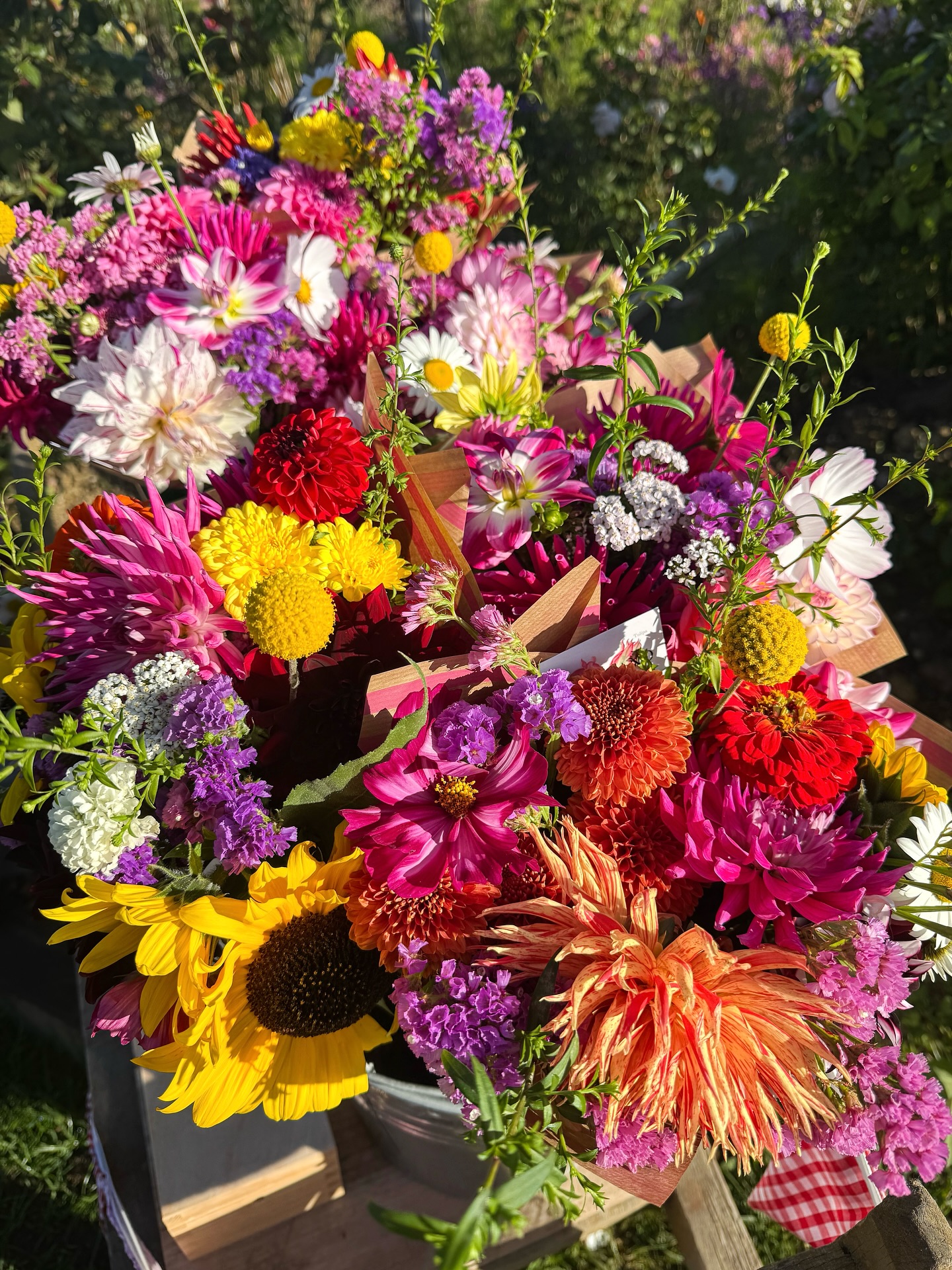 Plenty of sunshine still radiating
Bright yellow chrysanthemums, globe sticks & sunflowers
Kelvin Floodlight Dahlia was the first variety I ever grew. Magnificent blooms to marvel
#seasonalflowers #septemberblooms #localflowers #dahlia #norfolk #norwich #bouquet #flowergram #florist #cottagegardenflowers #autumn