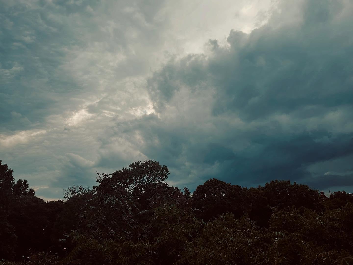 Orchestra of the Sky