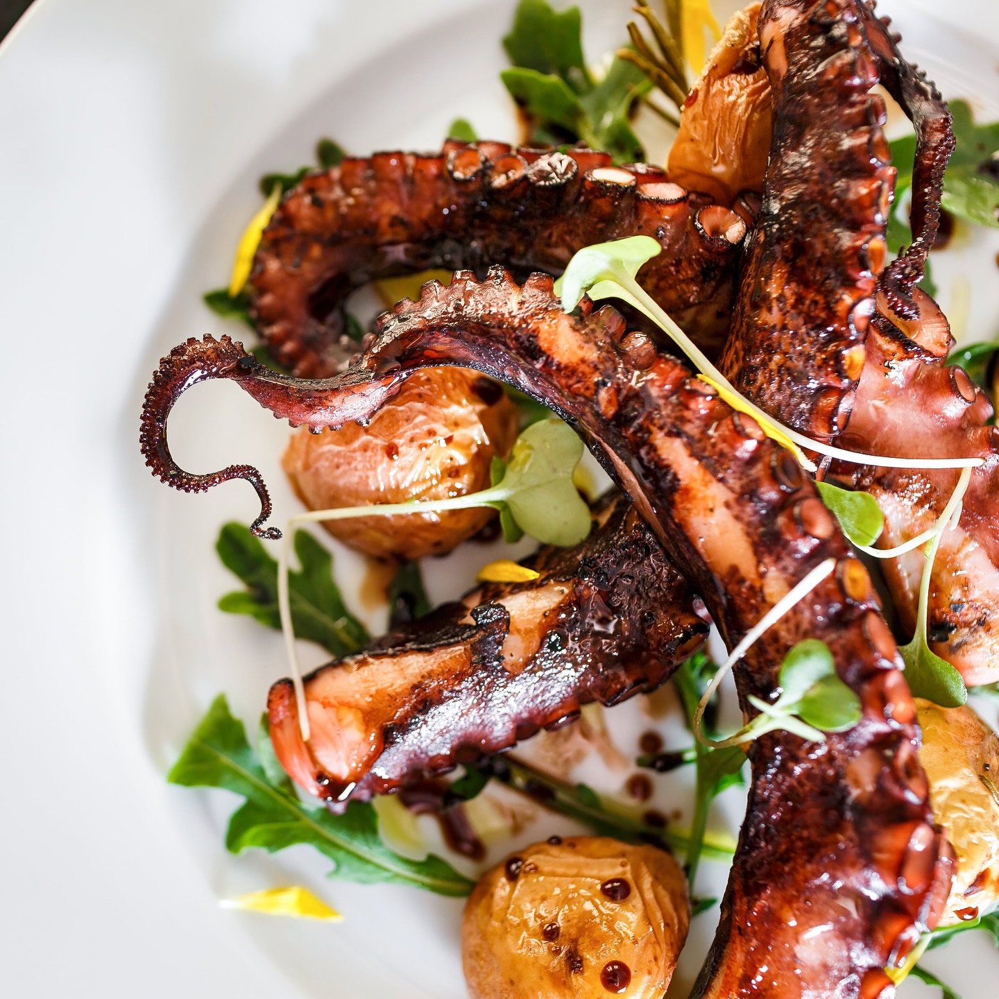 Not gonna lie, octopus used to intimidate me. But once you master the technique, it’s pure poetry on a plate. Who else is team tentacles? 🙋♂️
-
-
-
-
-
-
-
-
#privatechef #losangeles #seafoodchef #grilledoctopus