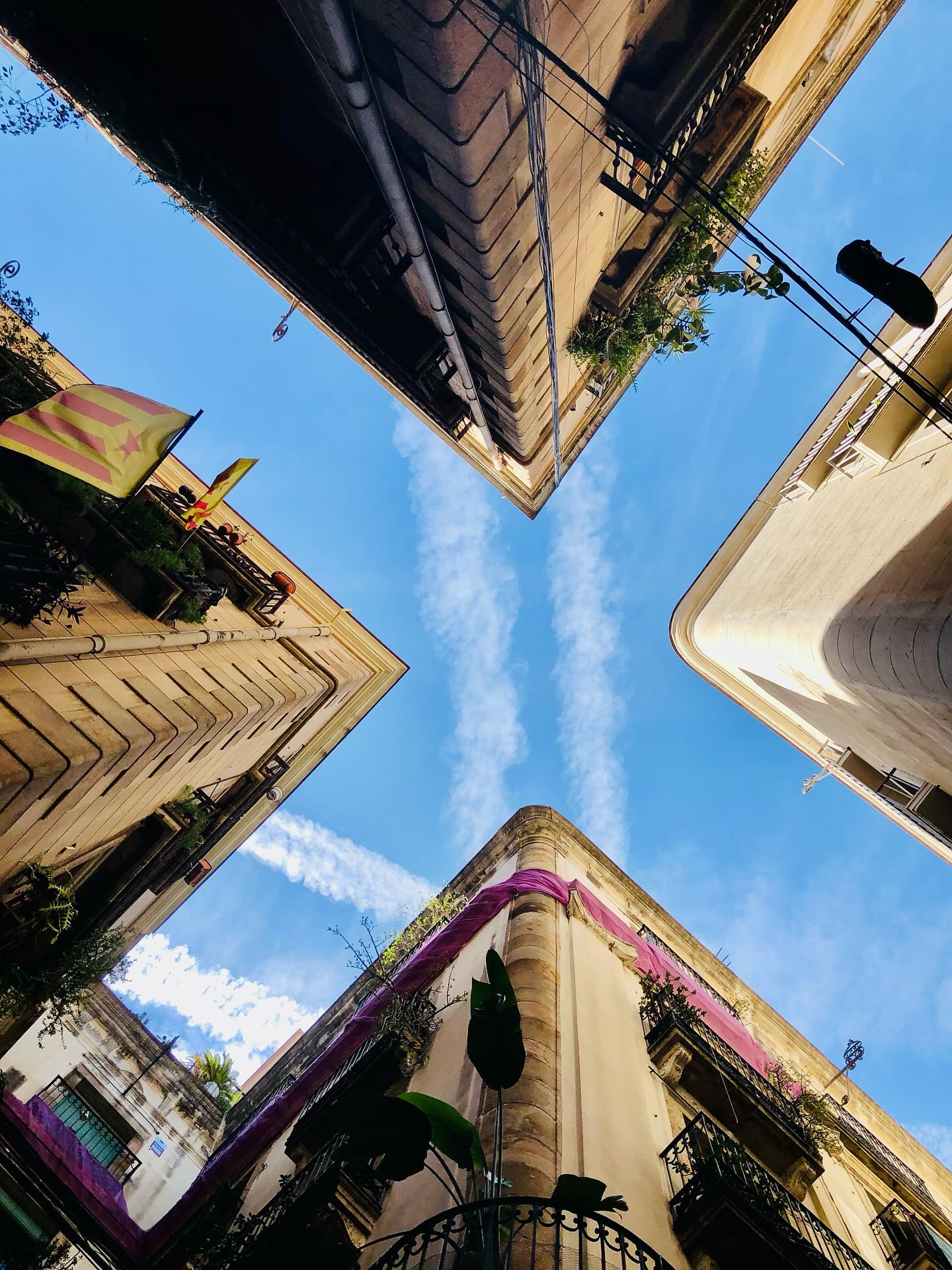 Barcelona heeft meer dan 2000 jaar geschiedenis. Dat betekent ook meer dan 2000 jaar architectuur. Van de Romeinen tot hedendaagse moderne architectuur. Je kijkt je ogen uit in Barcelona met al die prachtige gebouwen en gevels. We krijgen er na al die jaren nog steeds geen genoeg van.
Wil je ook de verhalen achter de gevels weten? Ga dan met ons mee of fiets- of wandeltour!
www.muchogustotours.nl