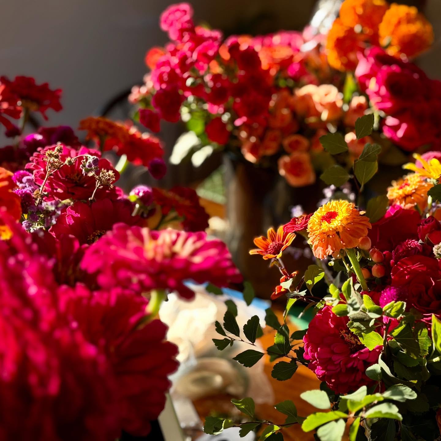 When your couple chooses the most incredibly vibrant color palette and the sun lights up those babies just right… that’s the stuff right there😍🤤