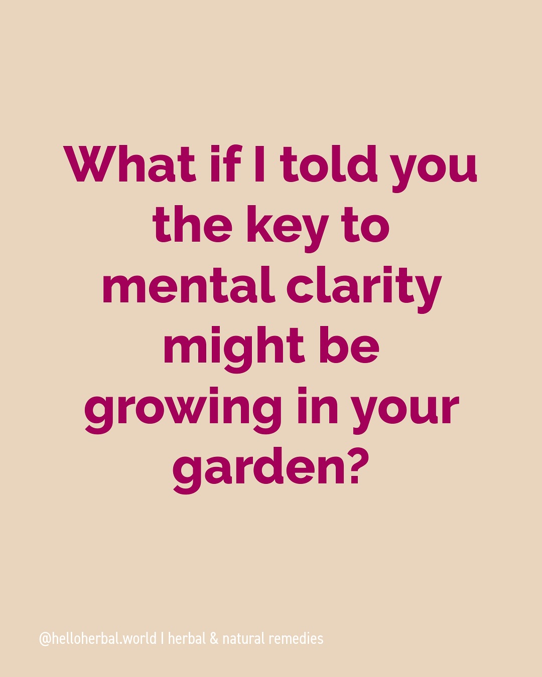The key to mental clarity š”⦠might be growing in your garden!
Did you know that rosemary hides secret ingredients that boost your brain? The ancient Greeks already knew about it. Rosemary contains powerful natural compounds - cineole for memory enhancement, rosmarinic acid for brain protection, camphor for mental stimulation, and pinene for alertness. When you breathe them in, they boost cognitive function. Amazing, right?
Perfect for: š Study sessions š» Work and work blocks š§āāļø Meditation practice š Mental space clearing.
So letās make a Rosemary Smudge Bundle ourselves.
What do you need:
* 4-8 fresh rosemary sprigs
* Natural twine
* Scissors
* 2-3 weeks patienceāØ
Simple steps:
1. Bundle fresh sprigs tightly at base
2. Wrap with twine from bottom to top
3. Hang to dry for 2-3 weeks
4. Light tip, blow out the flame,and let the aromatic smoke work its magic (max 2-3 min)āØ
Have you tried rosemary for mental clarity?
Drop a š§ if youāre making these!
š Save this DIY for laterāØš Follow @helloherbal.world for tips and DIYS for for natural health, non-toxic living and herbal remedies
#rosemary #smudging #mentalclarity #brainfood #herbalism #diyherbs #naturalwellness #aromatherapy #ancientwisdom #PlantMedicine