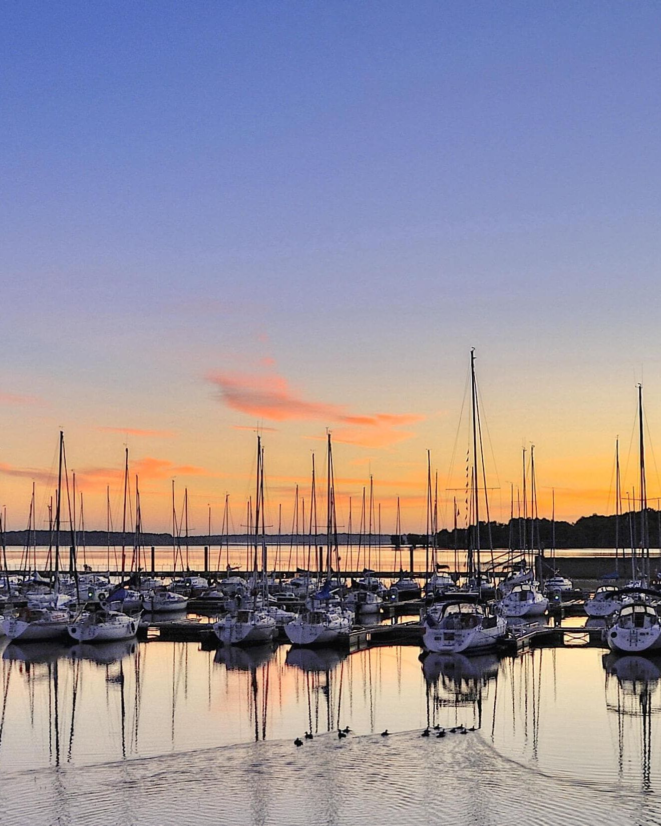 En fin de journée, profitez de la vue imprenable sur le lac et ses merveilleux couchers de soleil ✨