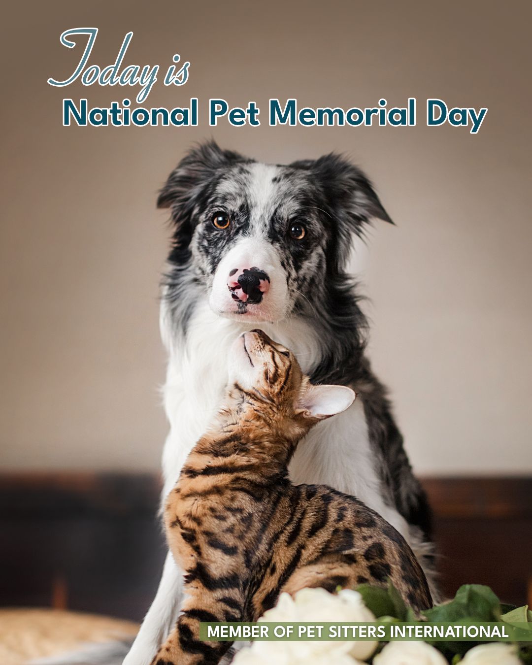 🌈 Today is National Pet Memorial Day — a day to honor the pets who filled our lives with unconditional love, joy, and companionship.
I carry the memories of my beloved dogs, MacAulay and Bentley, close to my heart every day. Remembering them brings both tears and gratitude for the time we shared. 🐾❤️
If you’ve had a special pet cross the rainbow bridge, I invite you to share a photo and a memory in the comments below. Together, we can honor their beautiful spirits and the lasting pawprints they’ve left on our hearts.
#NationalPetMemorialDay #RainbowBridge #ForeverLoved #PittsburghPetParents