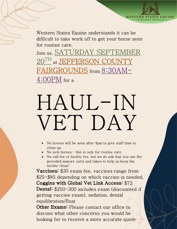 Join us this Saturday!