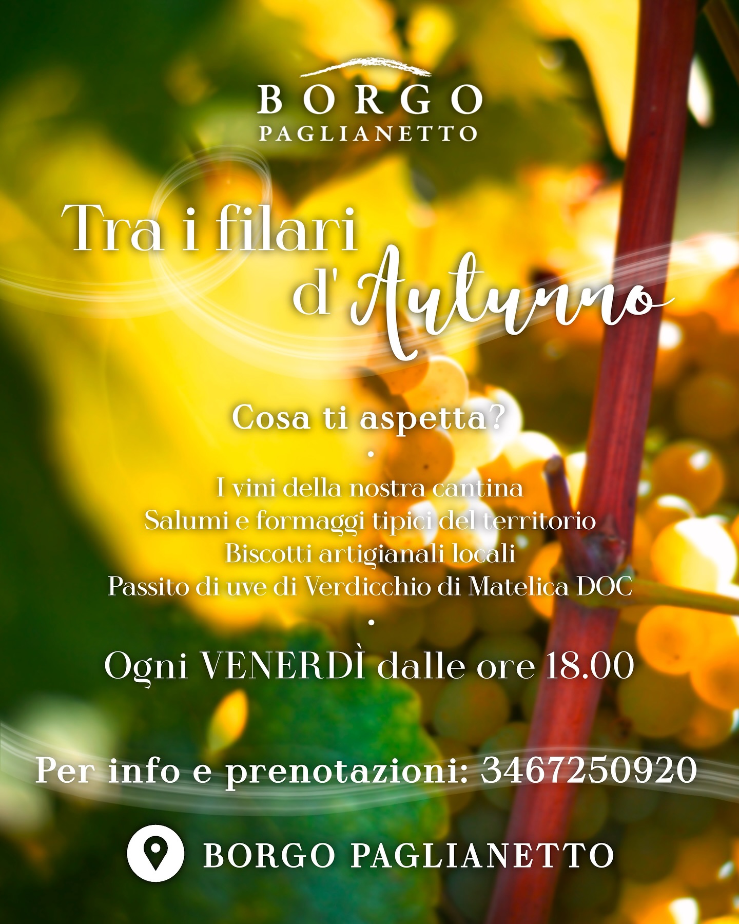 🍂Tra i filari d’Autunno 🍂
Ogni venerdì* dalle 18:00 ti aspetta un viaggio nei sapori di Borgo Paglianetto:
✨ Un calice di vino (bianco o rosso)
✨ Un piatto degustazione di salumi e formaggi a km 0 (opzione veg su richiesta)
✨ Un bicchiere di passito di uve di Verdicchio di Matelica DOC
✨ Biscotti fatti a mano della tradizione matelicese
Un’esperienza autentica, che celebra la nostra terra e le sue eccellenze. 🌿🍷
⚠️ Posti limitati – Solo su prenotazione!
📞 Info e prenotazioni al numero: 3467250920
Ti aspettiamo per vivere insieme la magia dei venerdì autunnali! 🍁
*Escluso venerdì 3 ottobre
🍂Among the Autumn Vineyards 🍂
Every Friday* from 6:00 PM, a journey through the flavors of Borgo Paglianetto awaits you:
✨ A glass of wine (white or red)
✨ A tasting plate of locally sourced cured meats and cheeses (vegetarian option available upon request)
✨ A glass of passito wine made from Verdicchio di Matelica DOC grapes
✨ Traditional Matelica handmade biscuits
An authentic experience that celebrates our land and its excellence. 🌿🍷
⚠️ Limited seating – Reservations only!
📞 For information and reservations, call: 3467250920
We look forward to seeing you and sharing the magic of autumn Fridays! 🍁
*Excluding Friday, October 3rd
#borgopaglianetto #verdicchiodimatelica #artisanwine #madeinitaly #matelica #siamofivi #wine #winelover