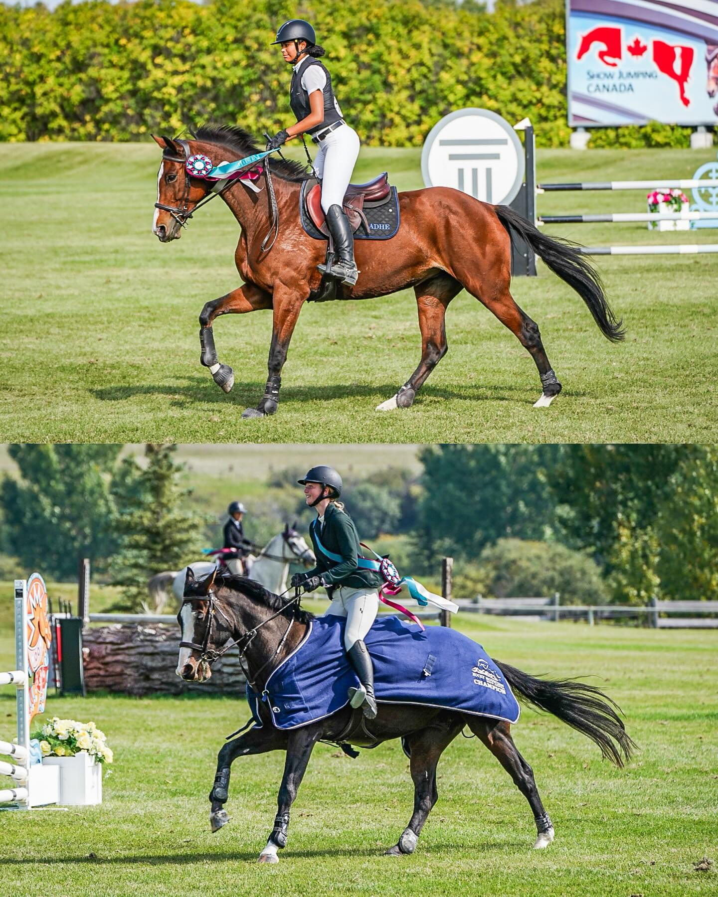 Thank you to RMSJ @rockymtnshow for hosting the annual winning round, such an exciting chance to watch incredible competition.
Allie clinched the 1.00m with an expertly ridden round, and Maelle followed it up with a fantastic ride in the 1.10m to take home 5th place. These hard working SugarTide riders earned their well deserved laps of honour and made us so proud.