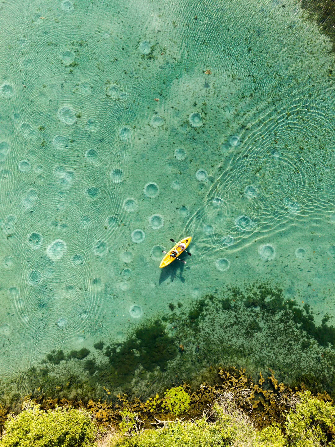 Duvido que saiba onde fiz essa foto.