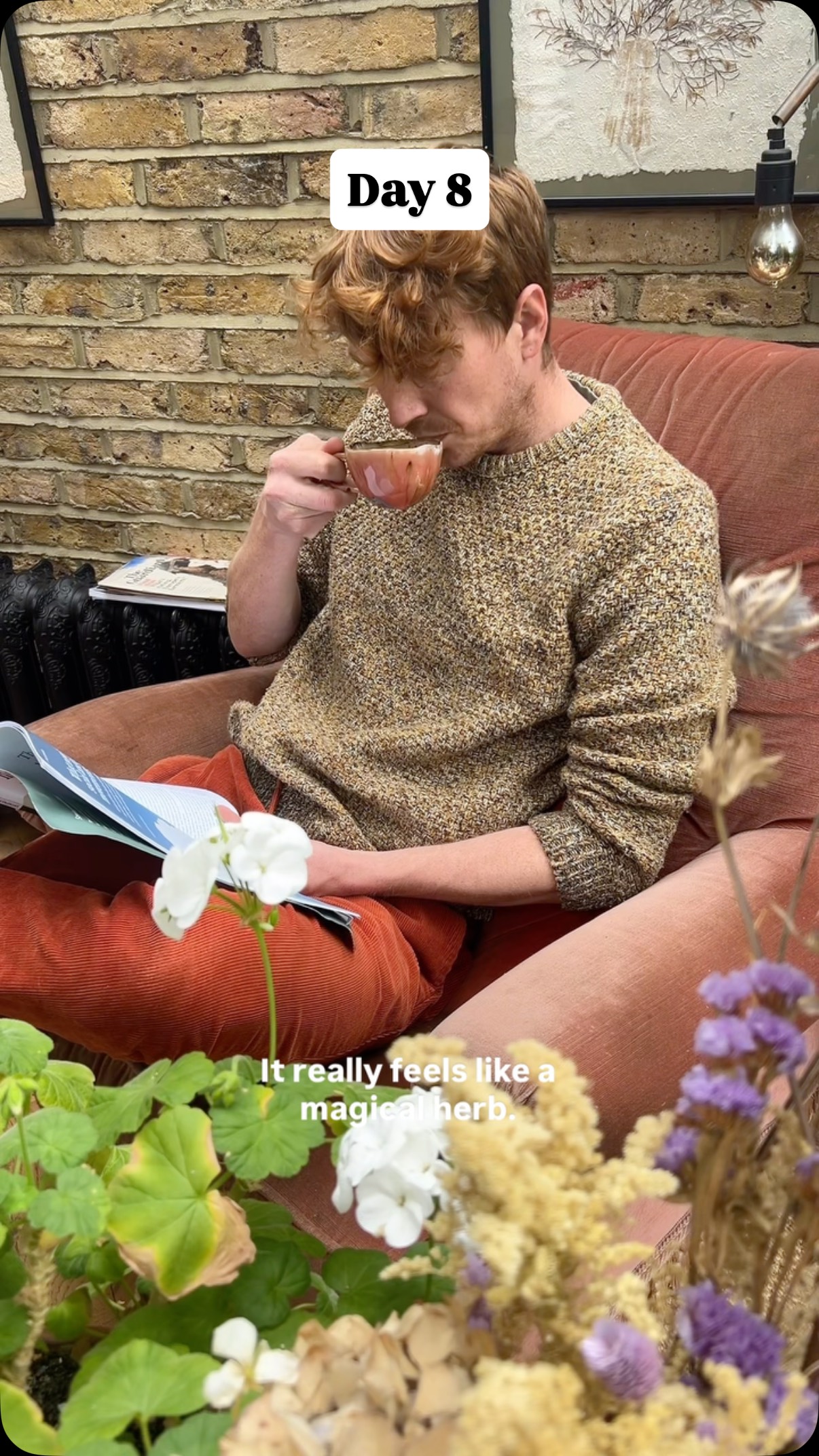 Tap save to learn this plant! This is mugwort (Artemesia Vulgaris) identified by their deep cut, loved leaves and silvery shade to the underside of the leaf. The smell is very distinctive and reminiscent of a variety of herbs such as sage. I really like using this plant as a sage replacement in past dishes, but it’s used more as a tea, and often to induce lucid dreams.
This time of year you’ll often find them with clusters of small brown/yellow/white flowers.
Warning - do not take this plant if you are pregnant.
Have you tried mugwort? What did you think?
#mugwort #herbalism #foraging #hedgewitch #ancientgreek #pagan