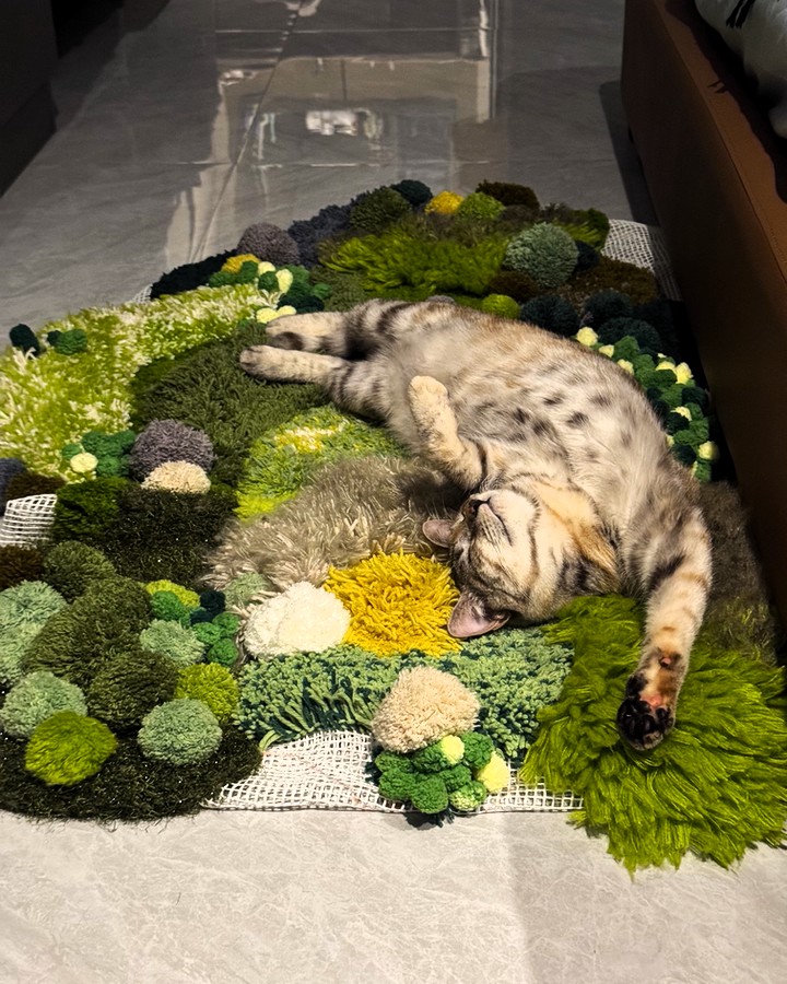 ✨ DIY but make it cozy ✨
Moss rugs are taking over home décor — but did you know you can actually make your own? 🧶
Our latest blog shows you how to turn yarn + latch hooking into a fluffy, textured rug that’s perfect for me-time, craft nights, or even a family bonding project. 💜
From Forest Floor greens to dreamy Lavender Fields and Lakeside blues, there’s a moss rug style for everyone.
👉 Read the full guide here: https://f.mtr.cool/esfqhgcnqy
#DIYMossRug #CraftKitsAustralia #MyCraftMaster #DIYHomeDecor #CraftWithFriends