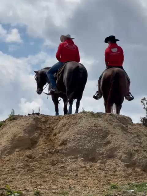 🔥Von Rider für Rider. Weil Leidenschaft keine Grenzen kennt.🔥Ob auf dem Board oder im Sattel, das Gefühl von Freiheit und Abenteuer verbindet uns alle. 🌊🐎
❓Wo kommt der Hoodie bei dir zum Einsatz?❓
💥 Beim laufen
💥 Im Stall zum ausmisten (bleibt kein Heu kleben)
💥 Beim reiten
💥 Auf der Baustelle
💥 Zwischen den Tauchgängen
💥 SUP
💥 Segeln
💥 Wintersport (bleibt kein Schnee kleben)
💥 Yoga
💥 einfach in der Freizeit im Garten
Unser #quickdryhoodie ist ein Allroundtalent!
#neverridewithoutb360 #b360ridingshirts #hoodieseason
#Pferdesport #RiderLife #Outdoor #CrossOver #SportLiebe #GemeinsameLeidenschaft #PferdeFreunde #VonRiderFürRider #Wassersport #Pferdesport #Leidenschaft #Freedom #AdrenalinJunkies #RideOn #PferdeGlück #NeueProdukte