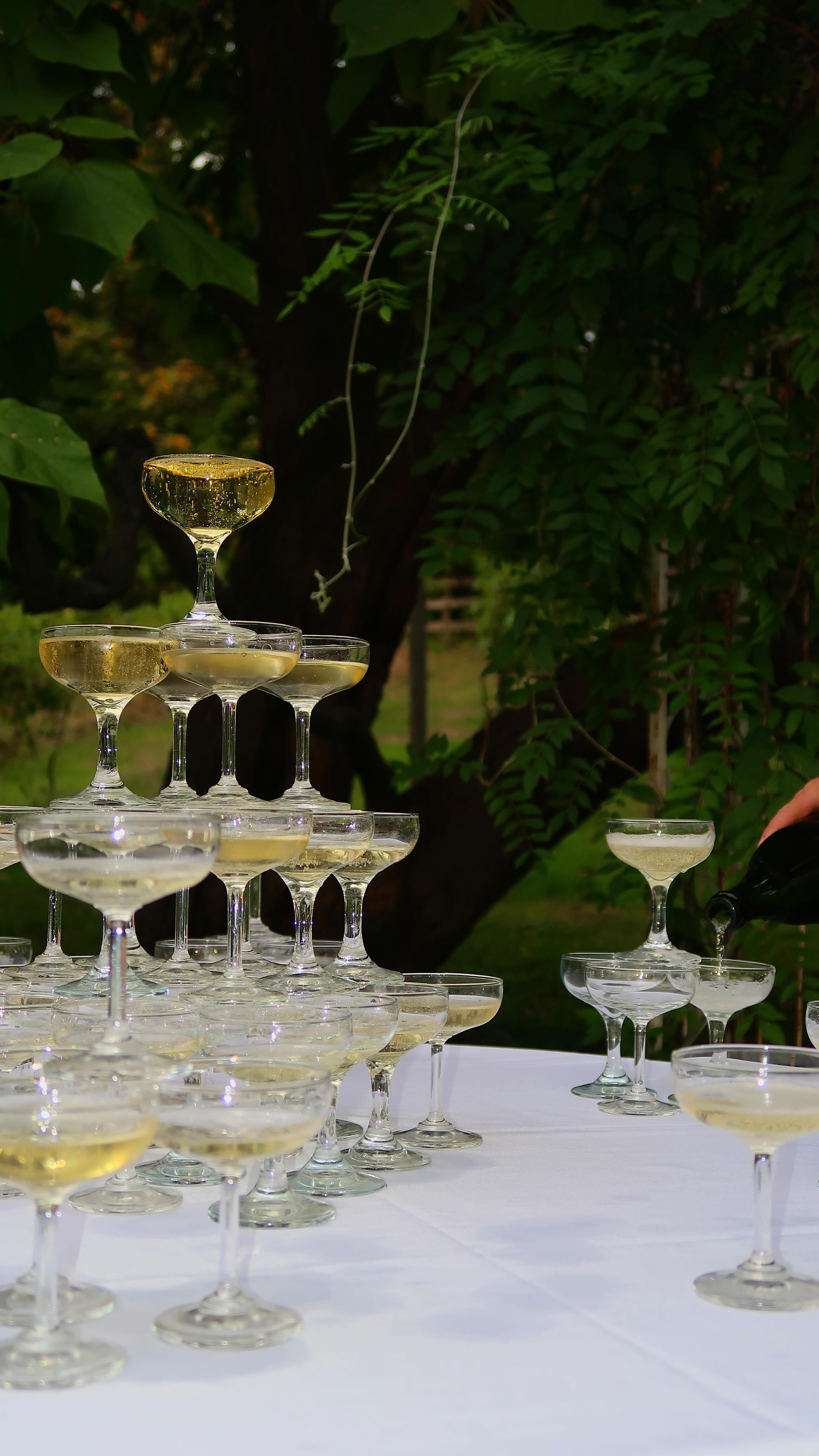 Val, owner of Stable Gate Winery, made the Endless Summer Soirée unforgettable with a sparkling champagne sabering for the @girlsupstateofficial guests.
UPCOMING EVENTS:
9/20 – Sipping with the Stars with @thecosmicmermaidastrology
9/27 – @unhingeddatingupstate Speed Dating (2 age groups: 45+ & Under 45)
9/28 – Yoga and Brunch with @jennleesuperstar @mijaskitchen_ @theveiledlily
10/5 – The Golden Ghouls Drag Show with the @thegoldengays85
10/11 – Sipping with the Stars with @thecosmicmermaidastrology
10/24 – Kevin Richard’s Boot Scoot’n Halloween Dance
10/25 – Hallowine! (Halloween party)
11/1 – A Big Gay (Spooky) Market @abiggaymarket
#upstatenywinery #SupportLocal #StableGateWinery #vineyards #upstatenyweddings #vineyard #hudsonvalley #albany #upstateny