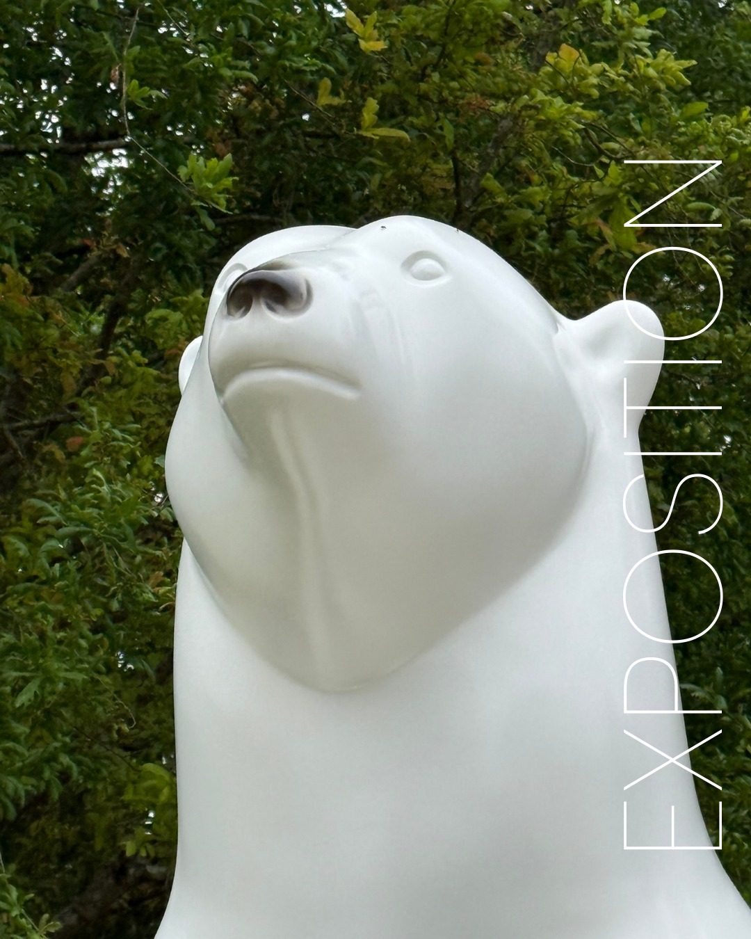 Plus que quelques jours pour profiter des ours polaires qui se trouvent à la Cale de Beautour à Vertou (44) avant qu’ils retournent dans l’arche de Michel BASSOMPIERRE.
📍La Cale de Beautour (44)
#vertou #exposition #ourspolaire #michelbassompierre #polarbears #fratrie