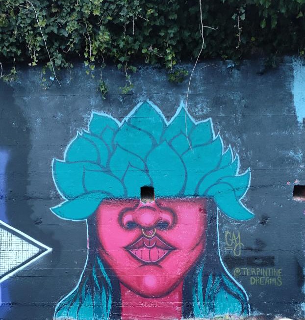 🎨 CANNIFEST COMMUNITY CHOICE WINNER 🎨
Big love to our community for voting and showing support! The LIVE ART WALL Community Choice Award goes to Couri @terpintinedreams 🏆✨
Huge thank you to Phylis @liveartwalls for coordinating this massive project — with over 40 artists participating again this year! 🙌 Your creativity, collaboration, and passion made the wall come alive and the Cannifest community proud. 💚🌿
#Cannifest #LiveArtWall #CommunityChoice #Cannifest2025