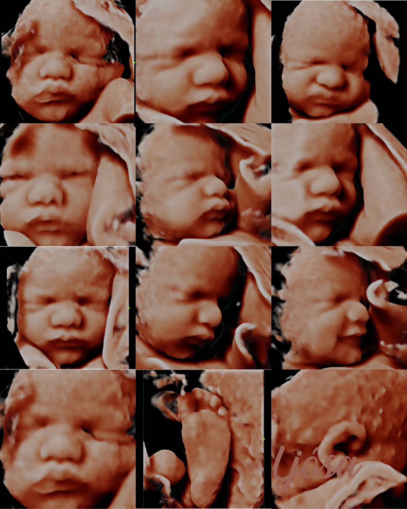 Krútt dagsins 🥹🥹