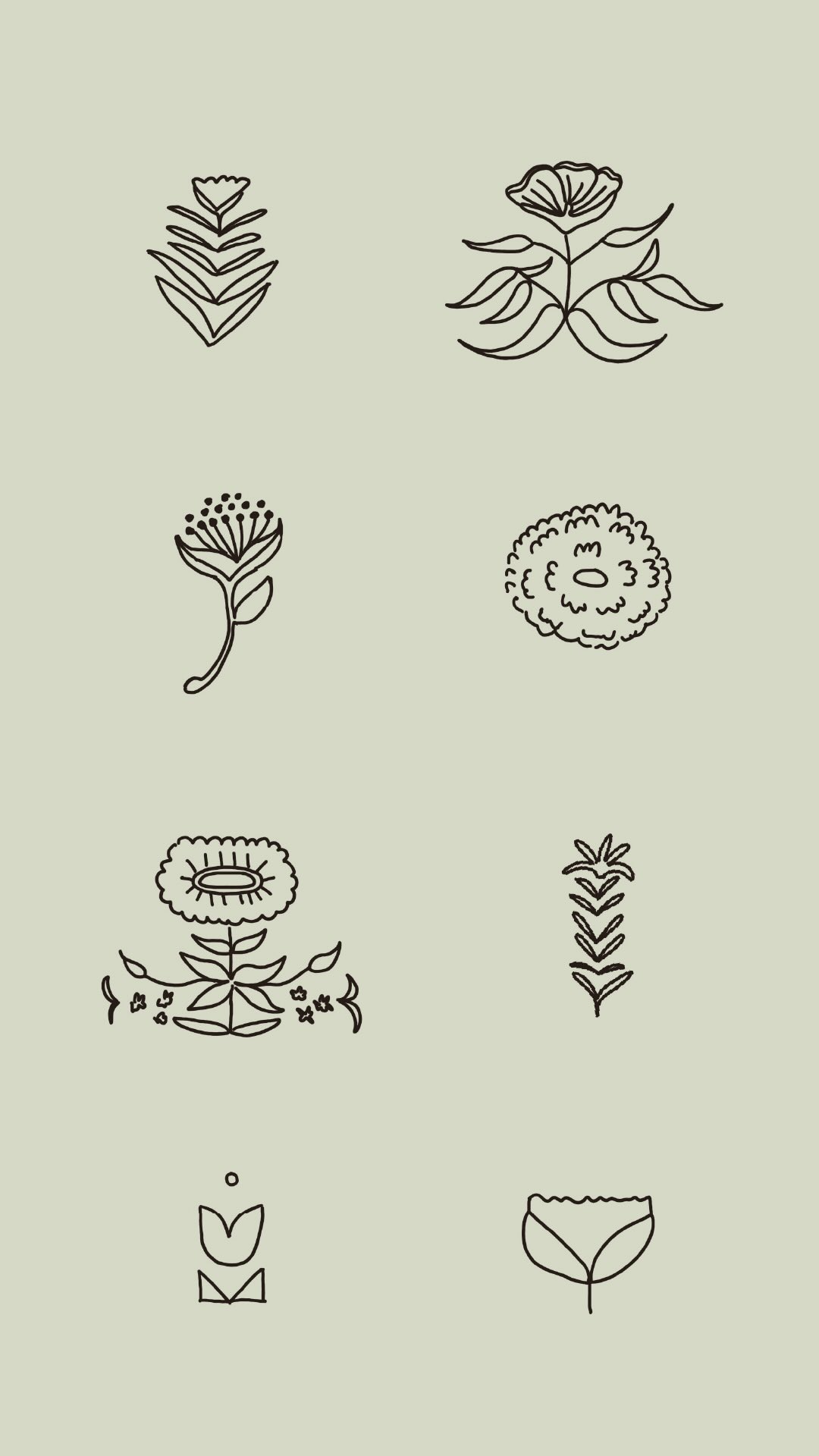 Once we land on the direction, it’s a matter of finding the right fit. So we test.
—
These wild flower illustrations were created during the design process, for the Guelph Birth Supplies visual brand identity. Sketched roughly on the iPad in Procreate, and later brought into Illustrator to nail down a winning design.