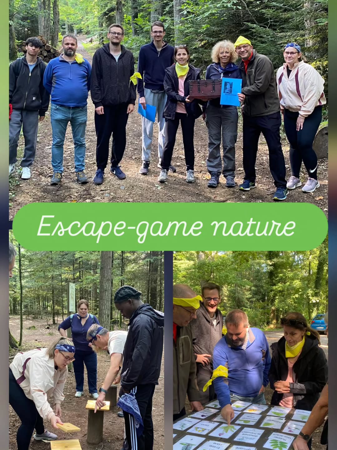 Immersion en forêt réussie pour ce groupe de collègues du cabinet comptable #ksca de Mulhouse !
Matinée randonnée, repas copieux et après-midi ludique et instructive pour sortir du bureau, quitter les écrans et créer des souvenirs ensemble !
Merci pour votre confiance.
A qui le tour ?
#teambuildingalsace #allonsjouerdehors #journeecohesion #seminaireentreprise #jaimelaforet #foretvosgienne #alsace&vosges