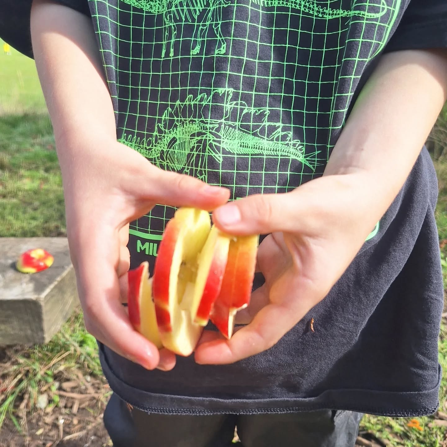 Back to school & all things autumn.
How can resist an apple when it looks like a slinky 🤪 The children ate so many apples today.
We used the last of the blackberries to do some tie dye. It didn't look like we would have enough but with a bit of a squeeze - ta-dah!
So good to be back. The sun shone & there was a bounty of berries to play with.
#outdoorlearning #autummharvest #sensoryautumn #berries