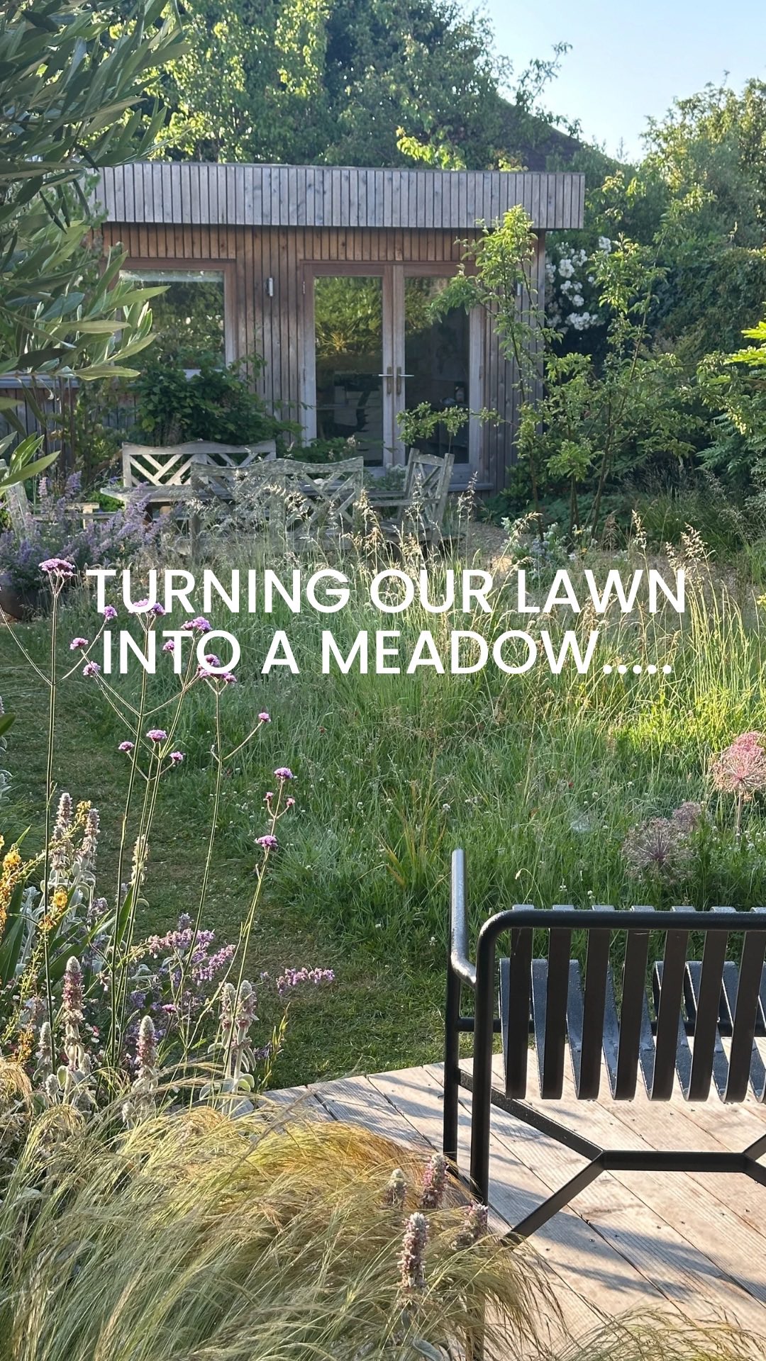 Our little “mini-meadow” experiment!
In our town garden, we stopped mowing and planted a few bulbs - Camassia and Allium christophii.
It’s messy, imperfect, full of grass (and a fair bit of bindweed!)… but it’s also been alive with bees, butterflies and grasshoppers all summer!
We’ve cut it back and will sow Yellow Rattle this autumn to give wildflowers more of a chance next year.
One tiny patch, left to go a bit wild - proof that every garden, however small, can help biodiversity thrive!
⸻
ABOUT: Joe Perkins Design is a multi-award-winning landscape design consultancy, creating innovative outdoor spaces that celebrate the environment, wildlife, and biodiversity. Working across the UK and internationally, we partner with clients who share our passion for sustainable and visionary design. Discover more about our work at: www.joeperkinsdesign.com