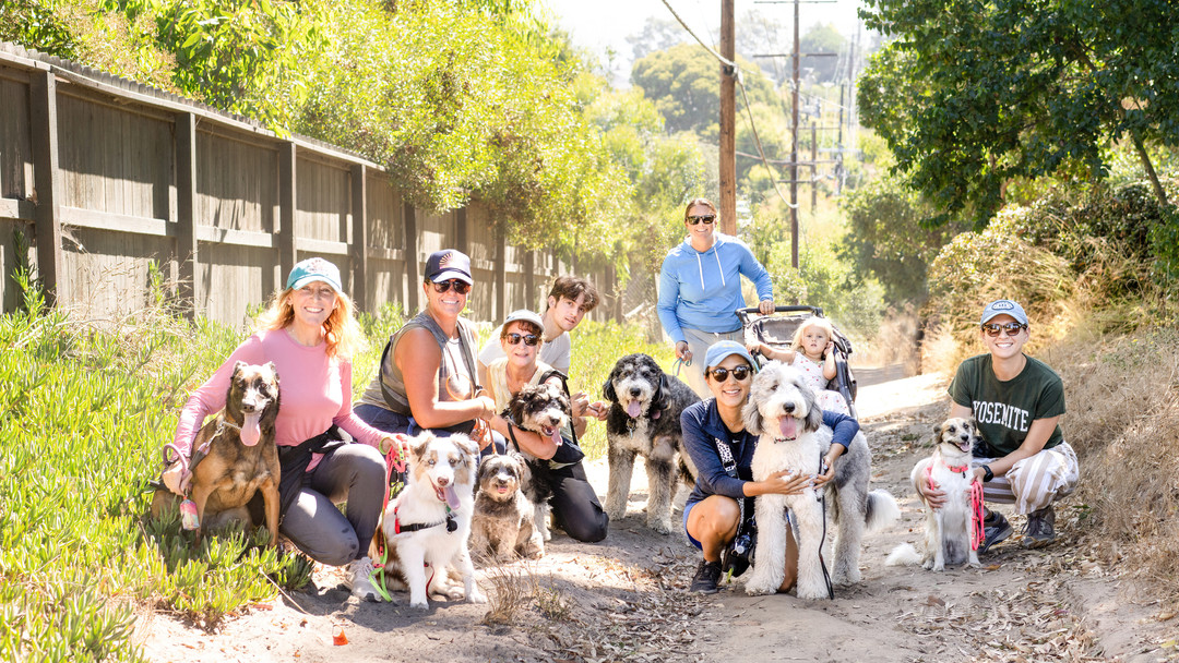 Join us for a fun-filled Pack Walk at Manhattan Beach! 🐾 Let your dog socialize and learn good manners in a relaxed environment. Meeting on Sun Sept 21 at 9 am. Don’t forget: Your dog needs full control on the leash! Link in Bio #PackWalk #ManhattanBeach #DogLovers