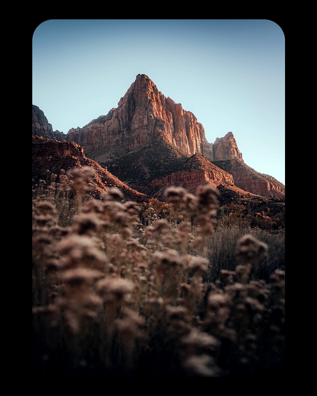 Back at Zion National Park
Woke up before sunrise to catch the view of The Watchman with the river flowing beneath it — sharing that moment with my cousins made it even better. After that, we did a hike to take in those sweeping views of Zion and spent the day exploring this stunning park. No matter how many times I visit, Zion never stops amazing me.
#ZionNationalPark #TheWatchman #NationalParks #hikingadventures #landscapephotography #naturephotography #wanderlust #travelgram #beautifuldestinations #exploretocreate #findyourpark #getoutside #mountainviews #familyadventures
