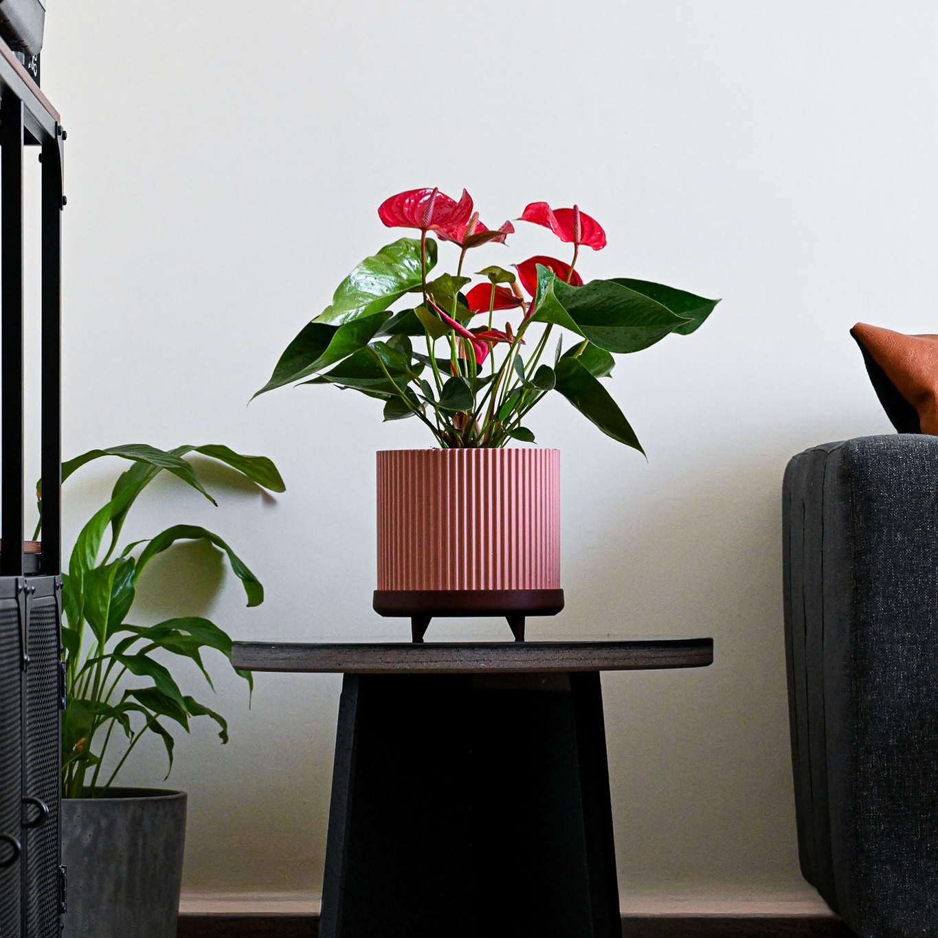 🌿 LE POT DE FLEURS NESSY 🌹
Imaginé et fabriqué dans notre atelier, Nessy est bien plus qu’un simple pot : c’est une pièce de design pensée pour mettre en valeur vos plantes tout en facilitant leur entretien.
Ses courbes organiques et son piètement sculptural rappellent la fluidité des formes naturelles. Sous son apparente simplicité, Nessy cache une conception ingénieuse : une coupelle intégrée qui recueille l’excédent d’eau d’arrosage. Vos plantes profitent ainsi d’un environnement sain, évitant les surplus d’humidité tout en conservant une réserve discrète, idéale pour leur équilibre.
✨ Trois formats pour toutes vos envies :
• S – Ø 19 × H 20 cm : idéal pour vos petites plantes et herbes aromatiques.
• M – Ø 24 × H 30 cm : parfait pour accompagner la croissance de vos plantes d’intérieur.
• L – Ø 30 × H 37 cm : pensé pour vos végétaux les plus généreux et imposants.
🌍 Conçu en PLA éco-responsable, chaque pot est imprimé en 3D avec soin dans notre atelier.
👉 À découvrir dès maintenant sur www.leroydesign.fr (lien en bio)
#leroydesign #nouvellecollection #designmaison #potdesign #decorationinterieure #ecodesign #slowdesign #plants #impression3d #potdefleur #greendesign #objetdesign #madeinfrance #designdurable #bioplastique #designécoresponsable #interiordesign #atelierdesign