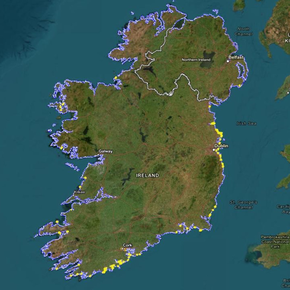 The first brent geese have arrived and our 2025 Annual Shore Survey has officially begun! To kick off the survey, we wish to introduce you to our team, flag planned follow-up work and hold a short clinic this evening, from 7-7:30pm. Feel free to join here: https://us02web.zoom.us/j/87592011187?pwd=zb5dZtlZ4RoIKshJFTe7hRvGZkbRDe.1
Everyone knows that the weather isn’t that inviting but once you are on the shore it is gorgeous! There are shore changes happening we would love you to report on. For past surveyors, if you can go back to a survey site or area you have surveyed before then your contribution on those background questions would be particularly valuable. For new surveyors, book your survey unit today to help us cover as much coast as possible!
Most of the annual shore audit stays the same year on year, enabling us to compare results over time and to data produced by authorities. But this year there is more:
- More about shore nature and the new Nature Restoration Law with offer of training and shore exploring field trips by qualified ecologists
- More nitrate testing support to provide a detailed snapshot picture of this nutrient discharging from land.
- A challenge: does your shore meet the new European shore litter standard?
Check out our website, coastwatch.org, or contact us directly at survey@coastwatch.org! Looking forward to seeing the coast filled with yellow dots, meaning all survey units are booked up!