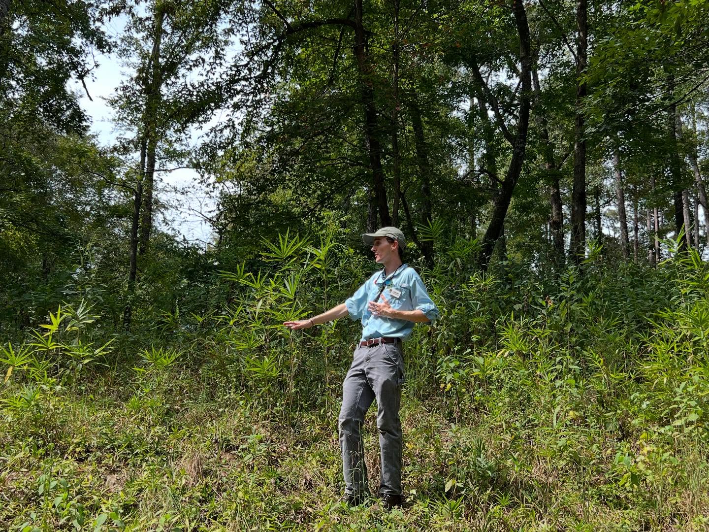 A big thank you to Logan Jones @birdsgeorgia for leading a great Walk n Talk program identifying Native and Non-Native plants at the Reserve. Make sure you put next month’s event in your calendar. BARKING UP THE RIGHT TREE