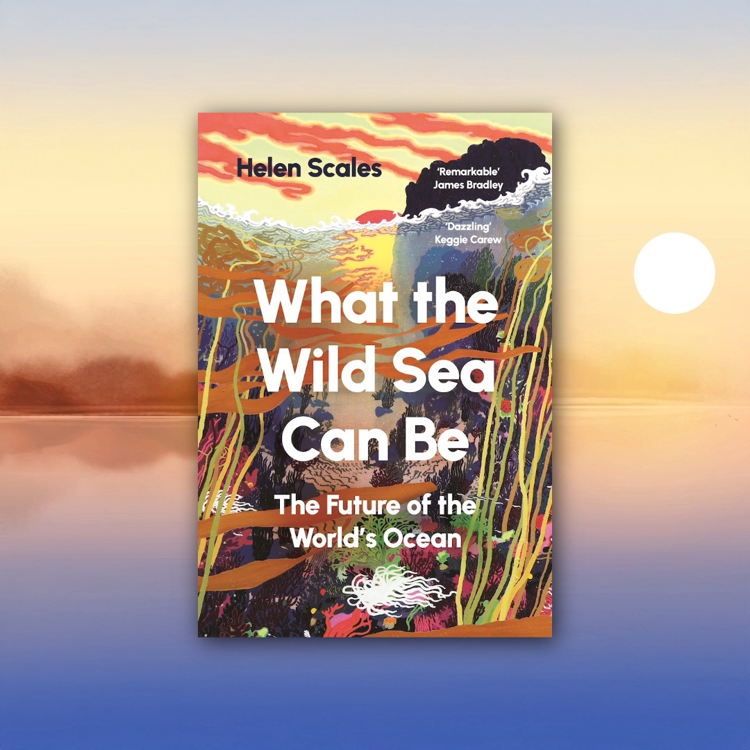 🎪We have some fascinating events on at the Appledore Book Festival on Tues 16 Sept🎪
Helen Scales: What the Wild Sea Can Be, 4-5pm 🎟 £12
📸 Ria Mishaal
Anne Sebba: The Women's Orchestra of Auschwitz, 5.45-6.45pm 🎟 £14 - ONLY A FEW TICKETS LEFT! 📸 Serena Bolton
Tracy Borman: The Stolen Crown, 7.30-8.30pm 🎟 £14 - ONLY A FEW TICKETS LEFT! 📸 Sophia Spring
A Gin Evening with Wicked Wolf Gin 🎟 £30 - BE QUICK TO AVOID DISAPPOINTMENT!
Tickets available from www.appledorebookfestival.co.uk📚
#helenscales #annesebba #tracyborman #wickedwolf #ABF2025 #tickets #missitmissout