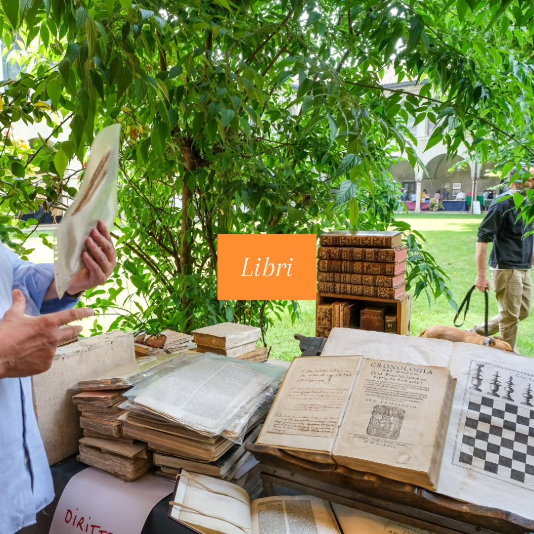 CLICK ‼️‼️ Sei a
📚 MANTOVA LIBRI MAPPE STAMPE XII ed.
👉 Sabato 20 Settembre h. 10/18,30
👉 Domenica 21 Settembre h. 9,30/13
🚗 Mantova, chiostro del Museo F. Gonzaga (in centro storico)
.
.
.
.
.
#mantovalibrimappestampe
#stampantica #stampadarte #art
#fieradellibro #fieradellemappe