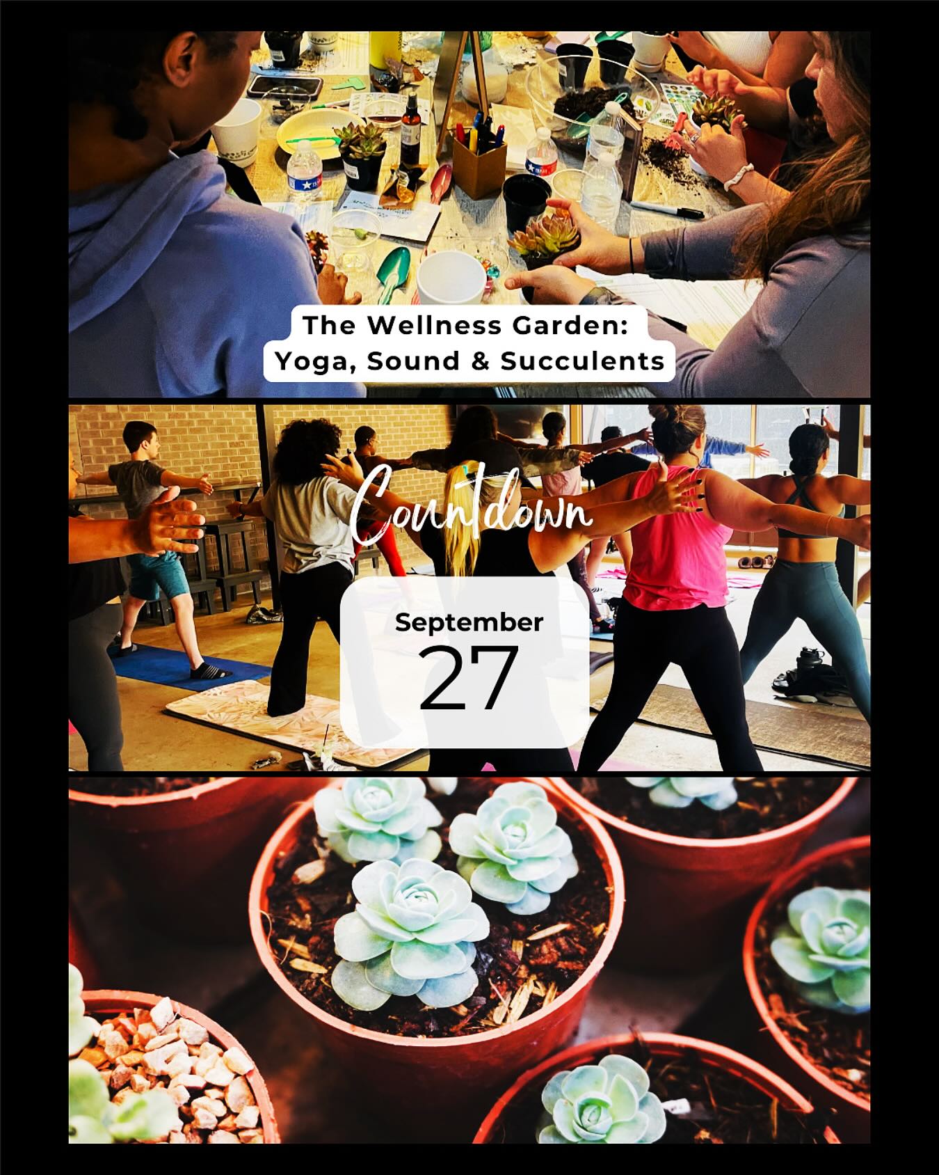 10 days away from Yoga + Sound + Succulents for a good cause? Yes please!
Join @inspiringwomen.today and @yogaisforevery.body, for a special event “The Wellness Garden: Yoga, Sound & Succulents for a Cause” on Saturday, Sept. 27th.
We’re coming together at the vibrant @ladosiscoffee for a morning of movement, mindfulness & community in support of fighting period poverty in Texas.
⏰ 9:40 AM - 12:00 PM
📍 @ladosiscoffee | Cedar Park, TX
🎟️ Limited space - grab your spot now via 🔗 in bio OR at yogaandsucculents.eventbrite.com
Grab a bite and/or a drink with a 15% menu discount from La Dosis!
Ticket proceeds support period poverty relief in Central Texas through Inspiring Women Today’s Hygiene Haven lockers! Bonus - bring a hygiene item to donate.
🪴🧘🏽♀️ See you on the mat!
#inspiringwomentoday #giveback #periodpovertyawareness #plantsofinstagram #yogaandplants #cedarparkevents #austintexas #plantlover #texasnonprofit #giveback #thingstodoincedarpark #visitcedarpark #thingstodoinAustin #yogaatx
#yogacommunity #supportlocaltx #endperiodpoverty