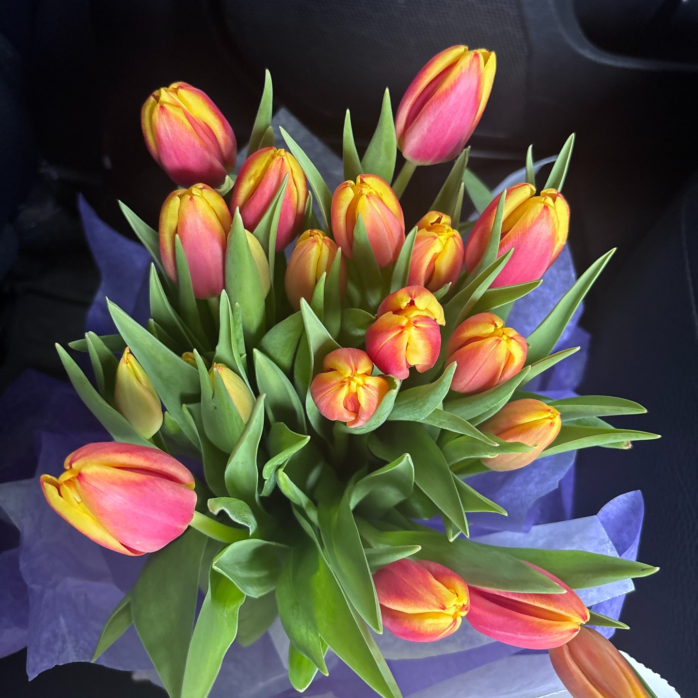 I’ve been hearing from more and more clients in the San Francisco Bay Area who are preparing for surgery, recovery, or simply wanting a calmer home to support their physical and mental health.
When your home is organized, daily routines become easier, stress levels go down, and you have the energy and peace of mind you need to heal.
I focus on priority spaces — like bedrooms, bathrooms, and kitchens — so you can move through recovery with comfort and confidence.
📞 Ready to create a home that supports your health and peace of mind? Let’s chat — link in bio!
.
.
.
.
#BayAreaOrganizer #SanFranciscoOrganizer #SanMateoCounty #AlamedaCounty #DeclutterYourHome #OrganizedHome #HomeHealing #ClutterFreeLiving #ProfessionalOrganizer #CloudyToClear