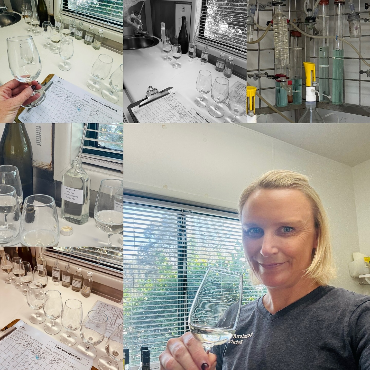 Guess what I’m doing today! 🫧 🍾🥂It’s time to magic our Prozzante into another cracking single estate sparkling♥️ #megalongcreekestate #megalongcreekestatewines #prozzante #bluemountainswine #sparkling #megalongvalley #singleestate #pinotgrigio #toughjob #winedevelopment