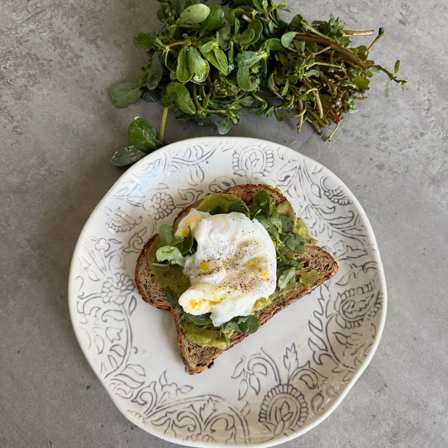 One of my sweet clients brings me purslane from the farmer’s market. For breakfast or lunch I love to make seed bread toast with guac, sprinkled with purslane, and an egg on top.
Here’s why I love Purslane
1. Rich in Omega-3 Fatty Acids
• One of the best plant sources of alpha-linolenic acid (ALA), a type of omega-3.
• Good for heart health, reduces inflammation, and may help with brain function.
2. High in Antioxidants
• Contains vitamin C, vitamin E, beta-carotene, glutathione, and melatonin.
• Helps fight oxidative stress and may protect against chronic diseases like cancer and heart disease.
3. Loaded with Nutrients
• Excellent source of:
• Vitamin A – supports eye health and immunity.
• Vitamin C – boosts immunity and skin health.
• Magnesium, calcium, potassium, and iron – essential minerals for muscle, bone, and overall health.
4. Anti-Inflammatory Properties
• Contains omega-3s and bioactive compounds that reduce inflammation in the body.
• May help with conditions like arthritis, asthma, and inflammatory bowel disease.
5. Supports Digestive Health
• High in mucilage, a gel-like substance that can soothe the digestive tract.
• Mild laxative effects can help with constipation.
6. Low in Calories but Nutrient Dense
• Ideal for weight management or nutrient-rich diets.
• Can be eaten raw or cooked, adding variety to low-calorie meals.
7. Antibacterial and Antifungal Effects
• Traditional medicine uses purslane to treat infections.
• Modern studies show potential antimicrobial activity.
8. Blood Sugar Regulation
• Some studies suggest purslane may help lower blood sugar levels, beneficial for type 2 diabetes.