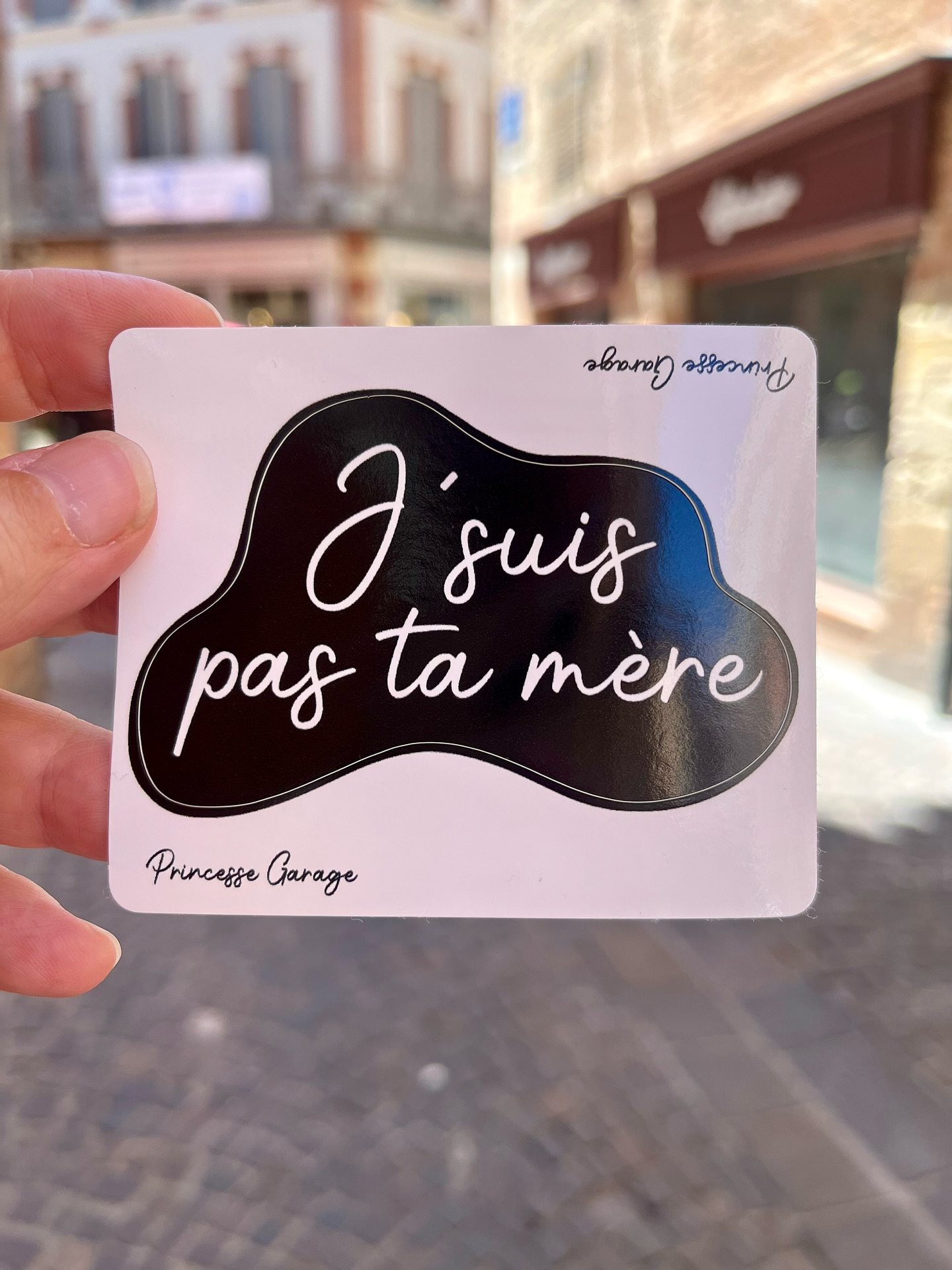Quand je suis énervée je fais des stickers 😉
Voici un petit bout de la collection qui a éclos au cœur de l’été … faut croire que la canicule m’avait bien tapé sur les nerfs 😅
Vos meilleures punchline en commentaires ⬇️
#princesseagarage #stickeraddict #stickerart #illustragram #artprint #autocollant