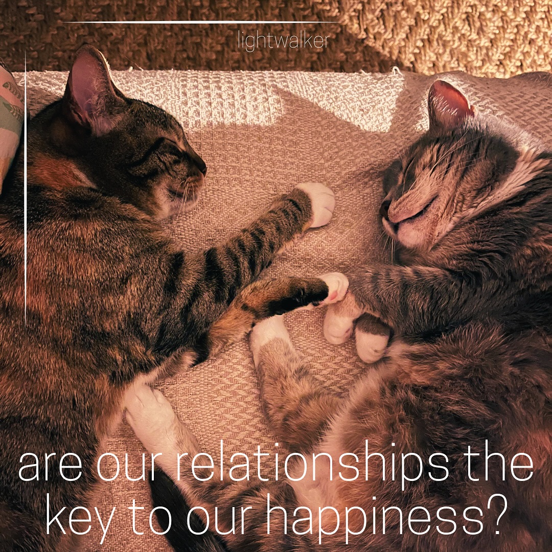 85 years ago, in 1938, researchers at Harvard began a groundbreaking study exploring HAPPINESS, tracking 2,000 people throughout their lives.
Maybe not surprisingly, the single factor standing out as a contributor to happiness is the quality of our relationships.
And what’s more, our relationships don’t only contribute to our happiness but also to our physical health and longevity.
This is one of the many reasons I love offering FAMILY CONSTELLATIONS as a coaching approach that can quickly lead to a huge transformation in the balance and health of our most important relationships - from family to ancestry, from workplace to our inner aspects.
✨✨✨
#happiness #constellations #healing #coaching #wellness #reteats #shaman #coach #selflove #familyconstellations #wellbeing #hoedspruit
Source: Harvard Study of Adult Development