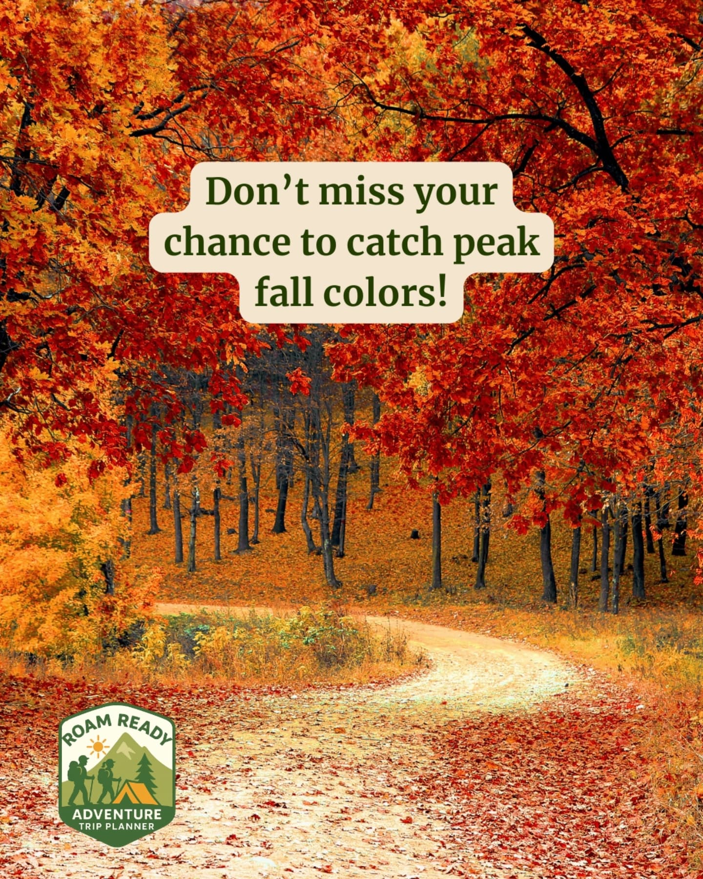 It's fall!!🍂 My favorite time of the year. Cozy. Crisp air. Golden leaves. Spooky season.
It's not too late to get out and see the fabulous leaves change color! 🍁
📜 Let Roam Ready LLC take the stress of planning off your shoulders so that all you need to do is pack up and head out to make memories.
✨️ We'll create a detailed itinerary with everything you need. Lodging, activities, restaurants in the area, and more! ☕️
DM us or go to the website in our bio to get started! 💛
#roamready #travel #adventure #travelagency #travelmorestressless #travelconsultant #AdventurePlanner #WomenWhoRoam #smallbusiness #smallbuisnessjourney #outdoorlife #fall #pumpkins #cozy #cabin #hotspring