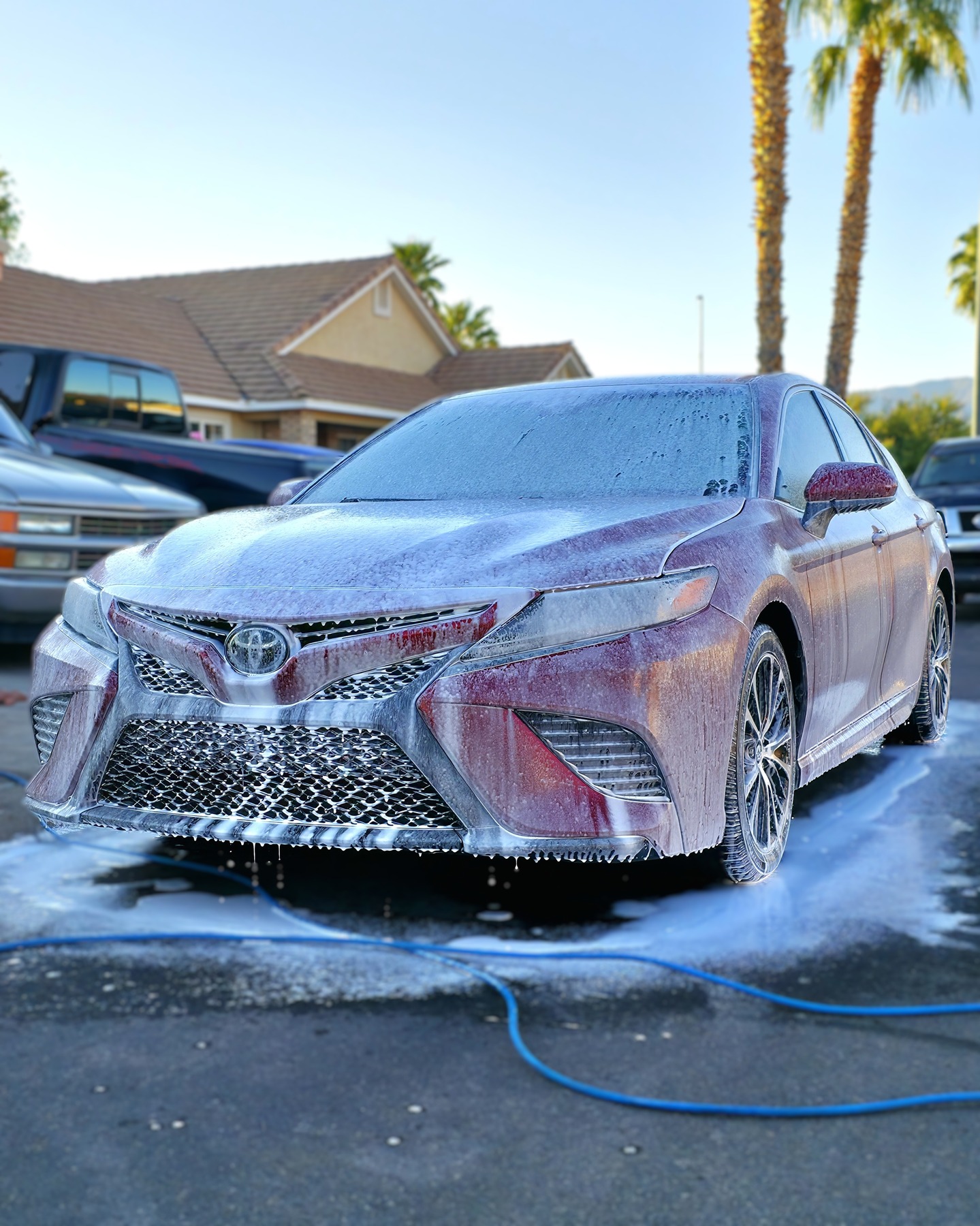 ✨ Fresh, protected, and always looking its best.
This Camry started with a full detail — and the owner saw so much value, they joined my Monthly Maintenance Plan. Now their car stays clean year-round without them lifting a finger.
Here’s why clients love the plan:
✅ Consistent interior & exterior care
✅ Protects paint and preserves value
✅ Saves you time while keeping your car looking brand new
If you love the look of a freshly detailed car but don’t have the time to keep it that way, my Maintenance Plan is the solution.
📲 Send me a DM today to lock in your spot — limited spaces available.