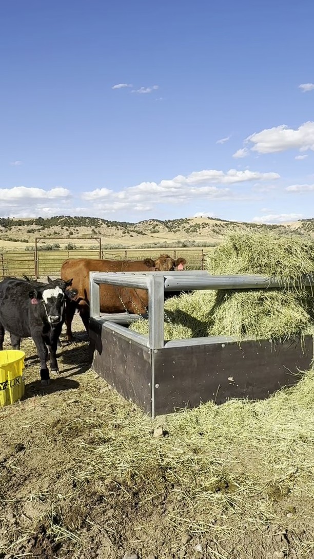 Feed smarter, not harder, and waste less. Our rugged round bale feeder keeps feed right where you want it keeping your livestock happy- built to last through every season. ๐ช๐ผ
Made in America, by Americans๐บ๐ธ
#PTIStockYard #roundbalefeeder #heavyduty #feeder #BuiltbyRanchersforRanchers