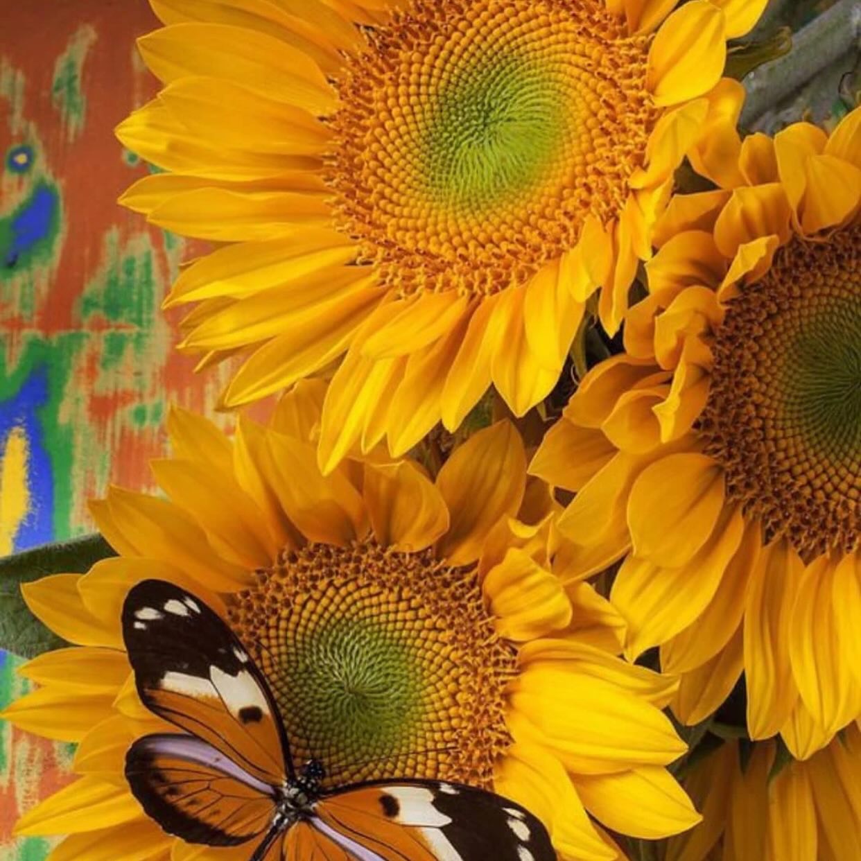 We love this time of year…local farmers connect…we love small business 850👋
.
.
.
.
.
#pensacola #pensacolasmallbusiness #supportlocalbusiness850 #850 #thingstodopensacola #gulfbreeze #destin #thingstododestin #movingtonwfl #movingtopensacola #movingtodestin #fortwaltonbeach #navarre #buyingnwfl #sellingnwfl #thingstodonavarre#navarresmallbusiness #fortwaltonsmallbusiness #floribama #gulfcoast #emeraldcoast #allthingsemeraldcoast #realestatepensacola #navarrerealestate #destinrealestate #gulfcoastproperty #propertiesforsale850