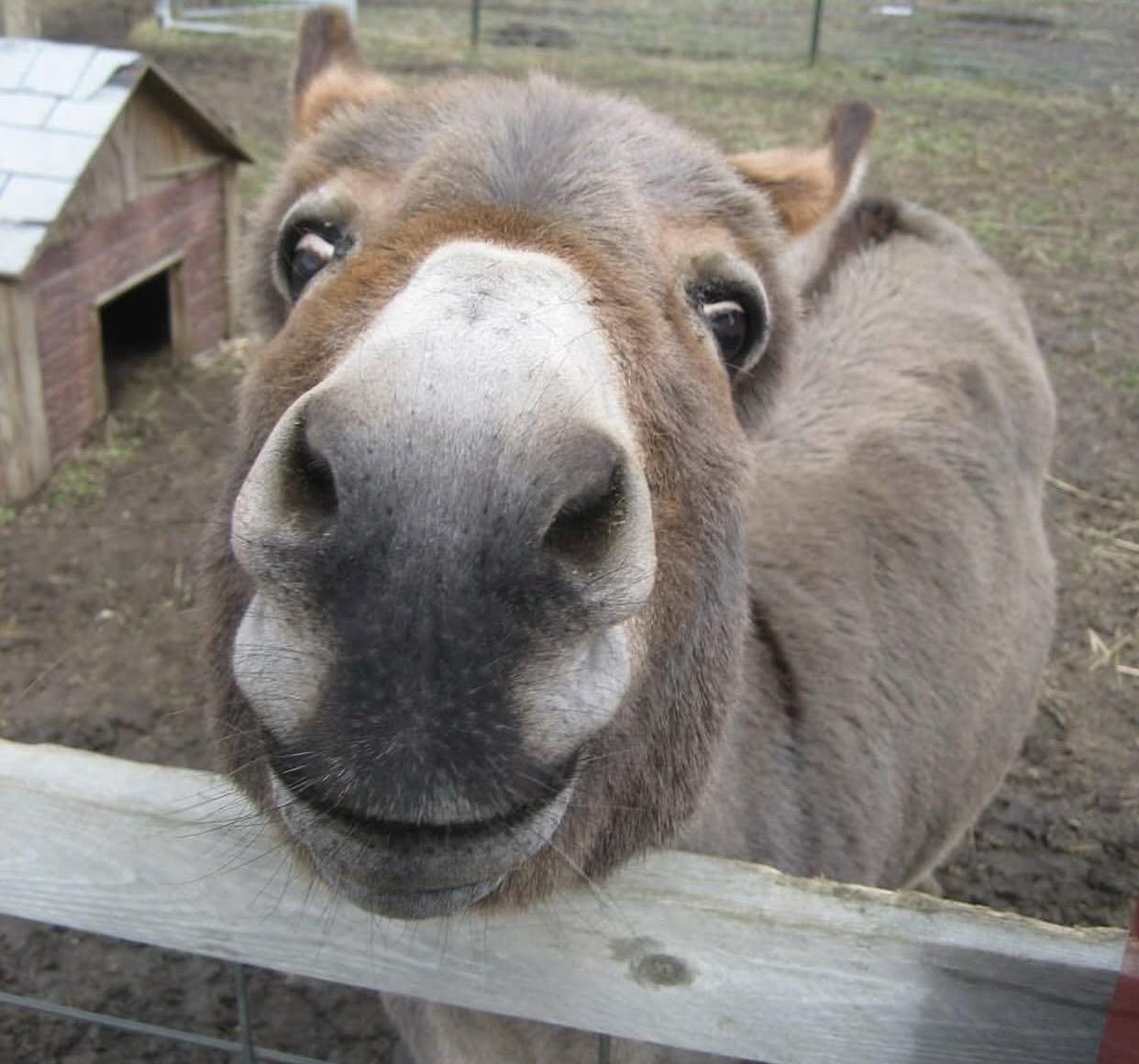 Always nice to see a friendly face - enjoy your day- 850
.
.
.
.
.
#pensacola #pensacolasmallbusiness #supportlocalbusiness850 #850 #thingstodopensacola #gulfbreeze #destin #thingstododestin #movingtonwfl #movingtopensacola #movingtodestin #fortwaltonbeach #navarre #buyingnwfl #sellingnwfl #thingstodonavarre#navarresmallbusiness #fortwaltonsmallbusiness #floribama #gulfcoast #emeraldcoast #allthingsemeraldcoast #realestatepensacola #navarrerealestate #destinrealestate #gulfcoastproperty #propertiesforsale