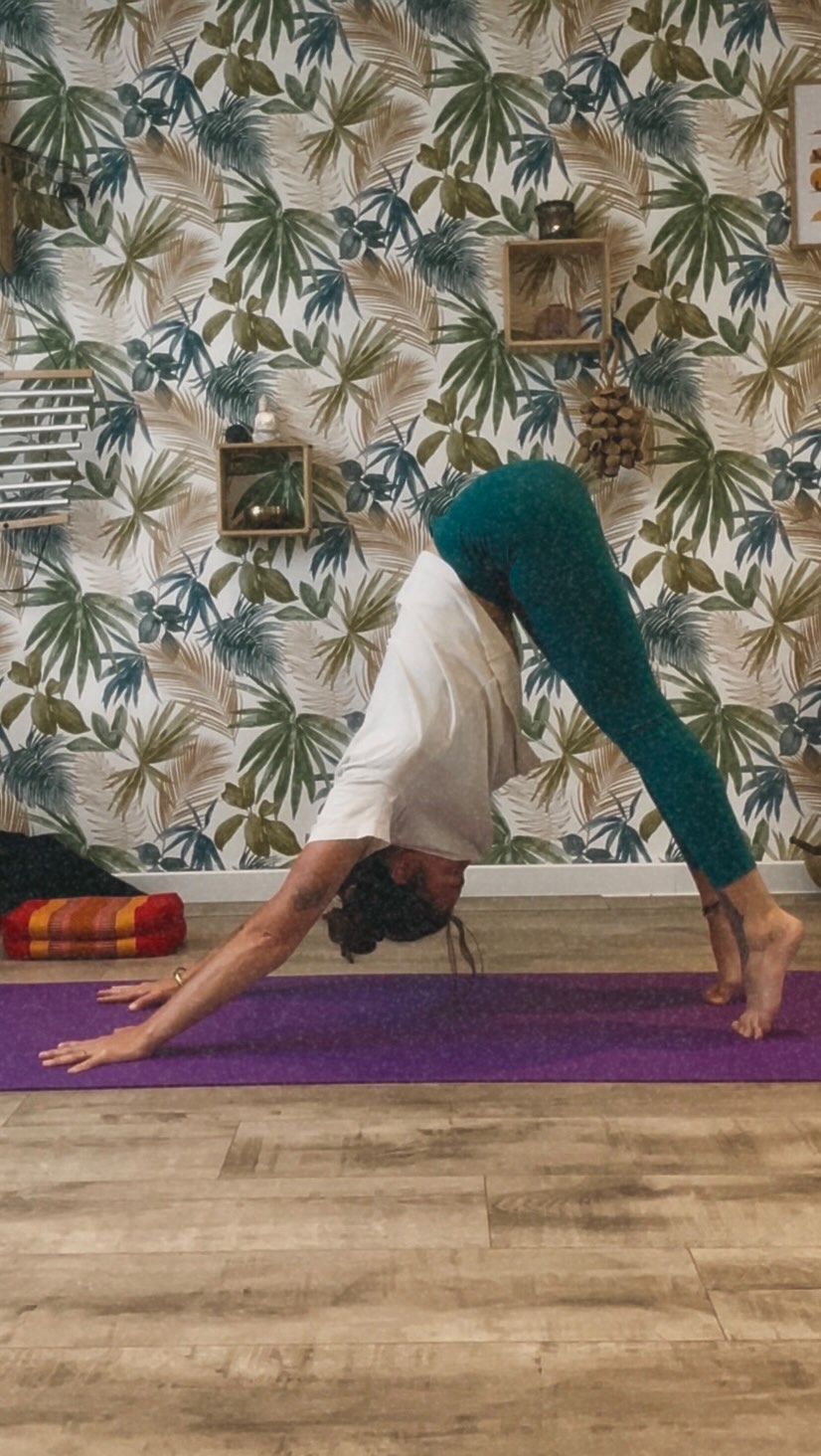 —Favorite warm-up.
Je voulais vous présenter les 2 cours hebdomadaires chez @terreatair65 un espace que j’adore. 😍
Le lundi à 10h30 c’est Vinyāsa doux, on prend son temps et on dit bonjour à son corps. C’est moelleux et ça fait du bien pour débuter sa semaine. 🤭
Le mercredi à 17h20, on active Agni —le feu sur le tapis ! 🔥 Un Vinyāsa dynamique, on explore des transitions, on s’amuse avec des nouvelles postures et surtout on profite de cette heure pour soi . 😍
Alors, tu viens tester ?
Je suis curieuse de connaître ce que tu préfères ?
#yogapyrenees #hautespyrenees #yogainspiration #lannemezan #yogalannemezan