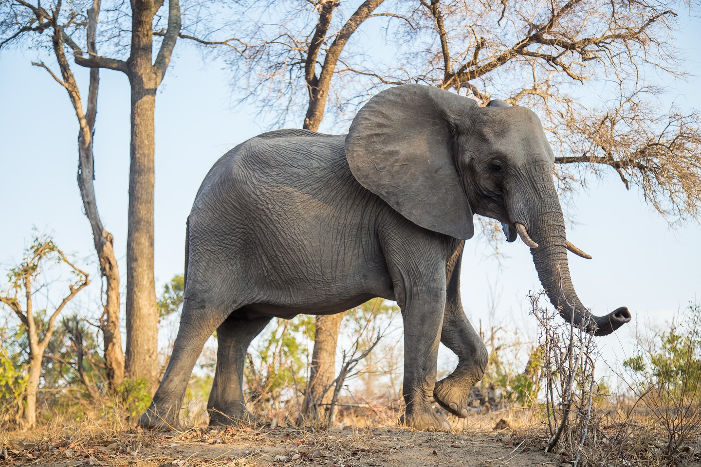 Our Botswana 2026 journey sold out fast. Now South Africa is filling quickly—and for good reason.
An award-winning safari lodge. Private dinners in Franschhoek. Views from the top of Table Mountain. This is South Africa at its most unforgettable.
Only a few spots remain. Link in bio to claim your place on our most signature journey.
#southafrica #safari #africansafari #tablemountain #franschhoek #travelafrica #wanderlust #bucketlisttravel #adventureawaits #2026journeys